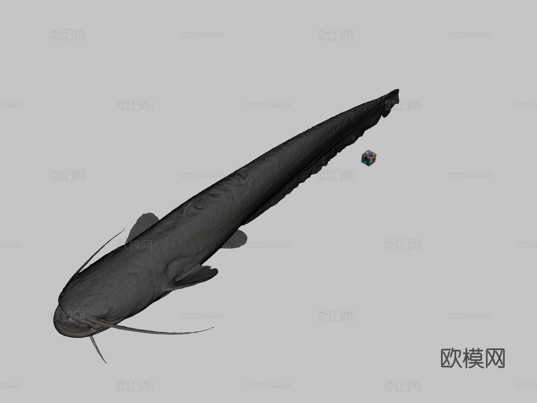CC0鲶鱼?日本鲇鱼3d模型