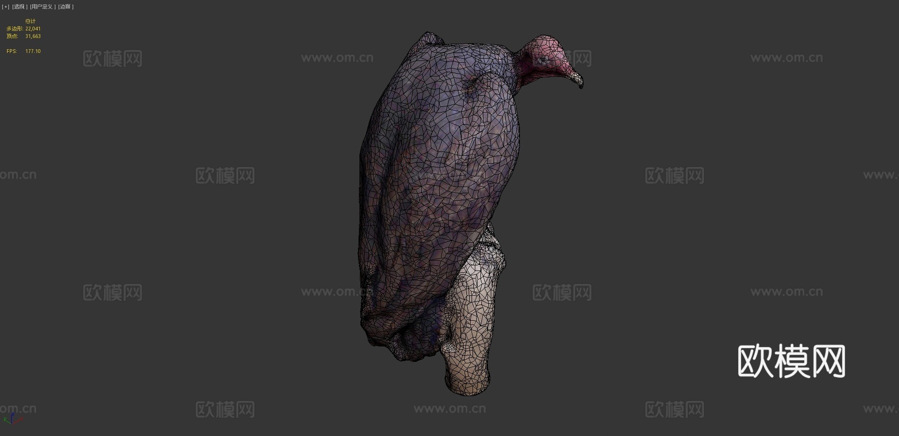 红头美洲鹫3d模型