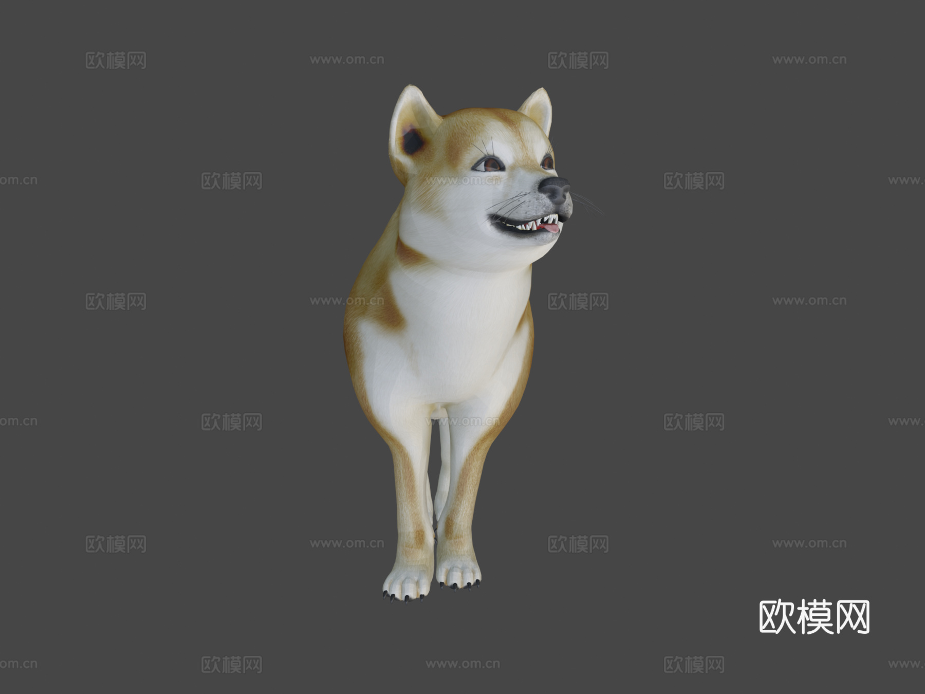 动画狗，柴犬su模型