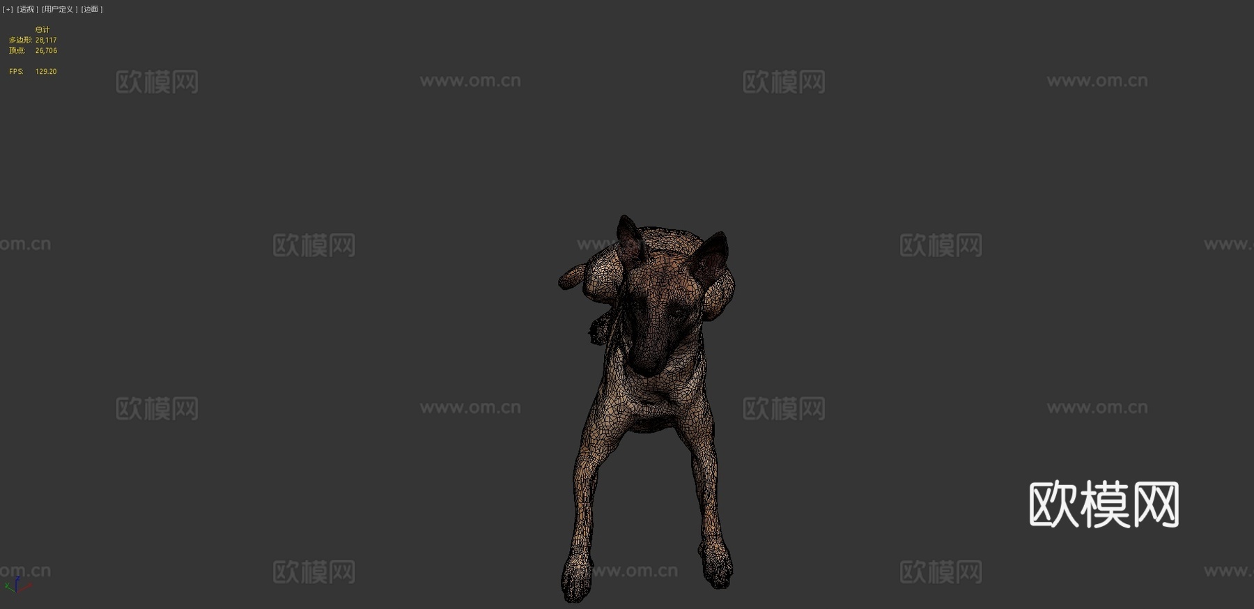 比利时玛利诺犬3d模型