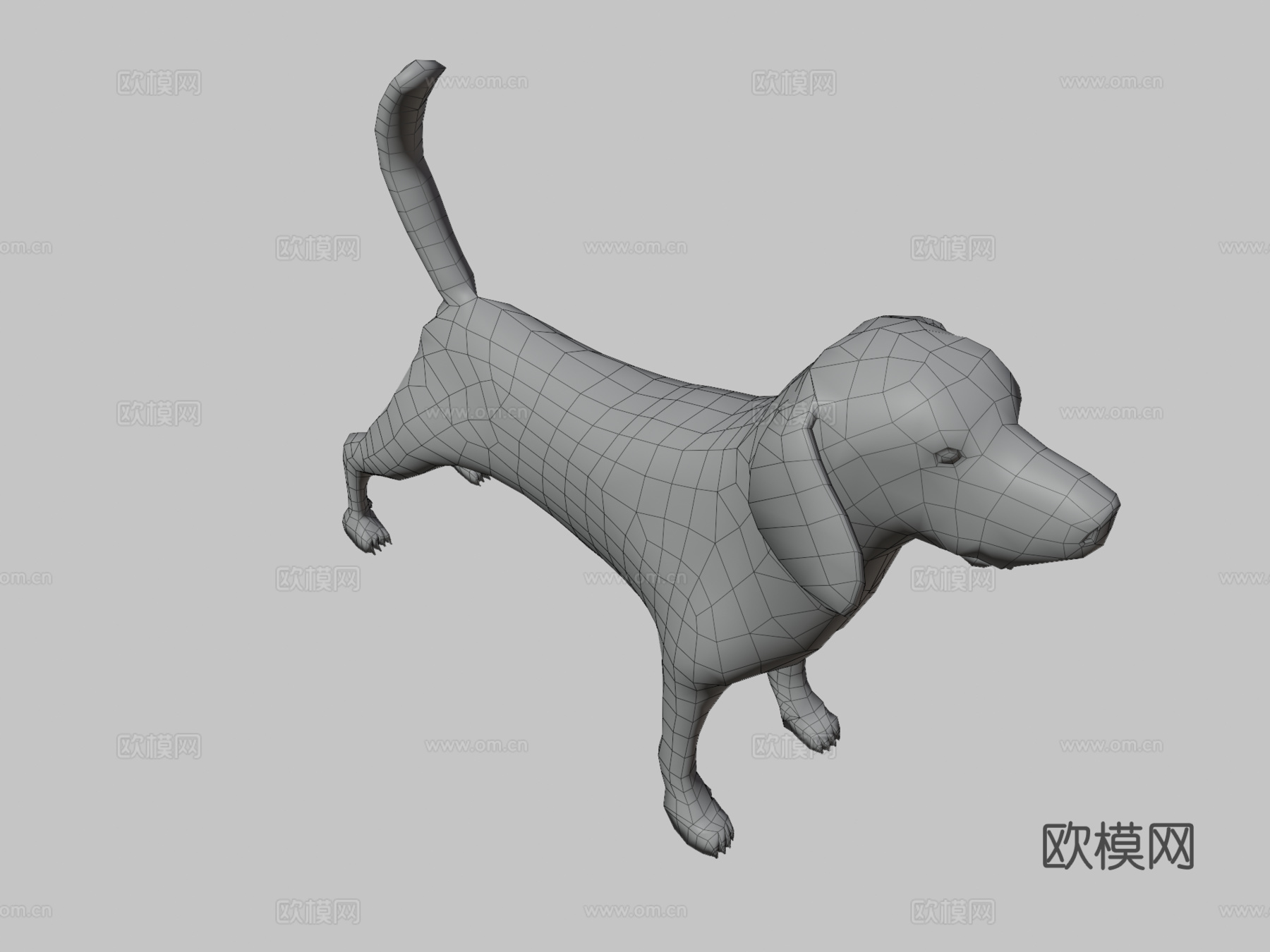 比格犬3d模型