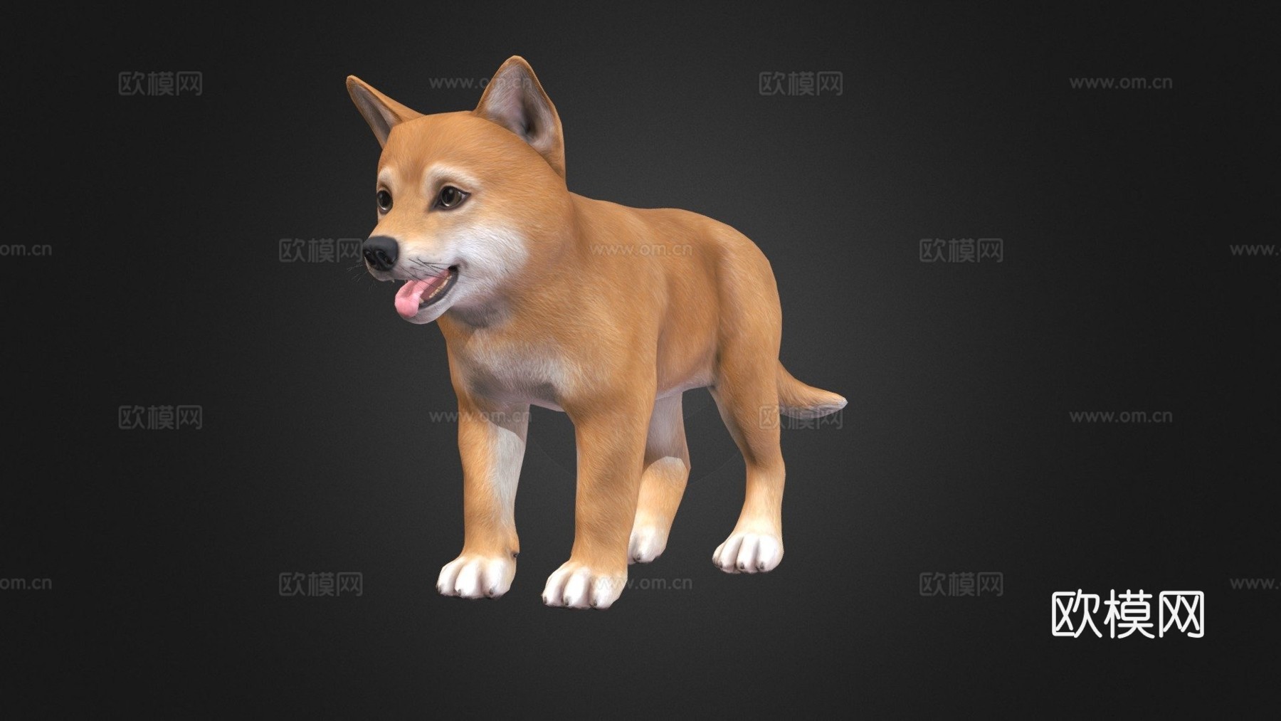 小狗-柴犬3d模型
