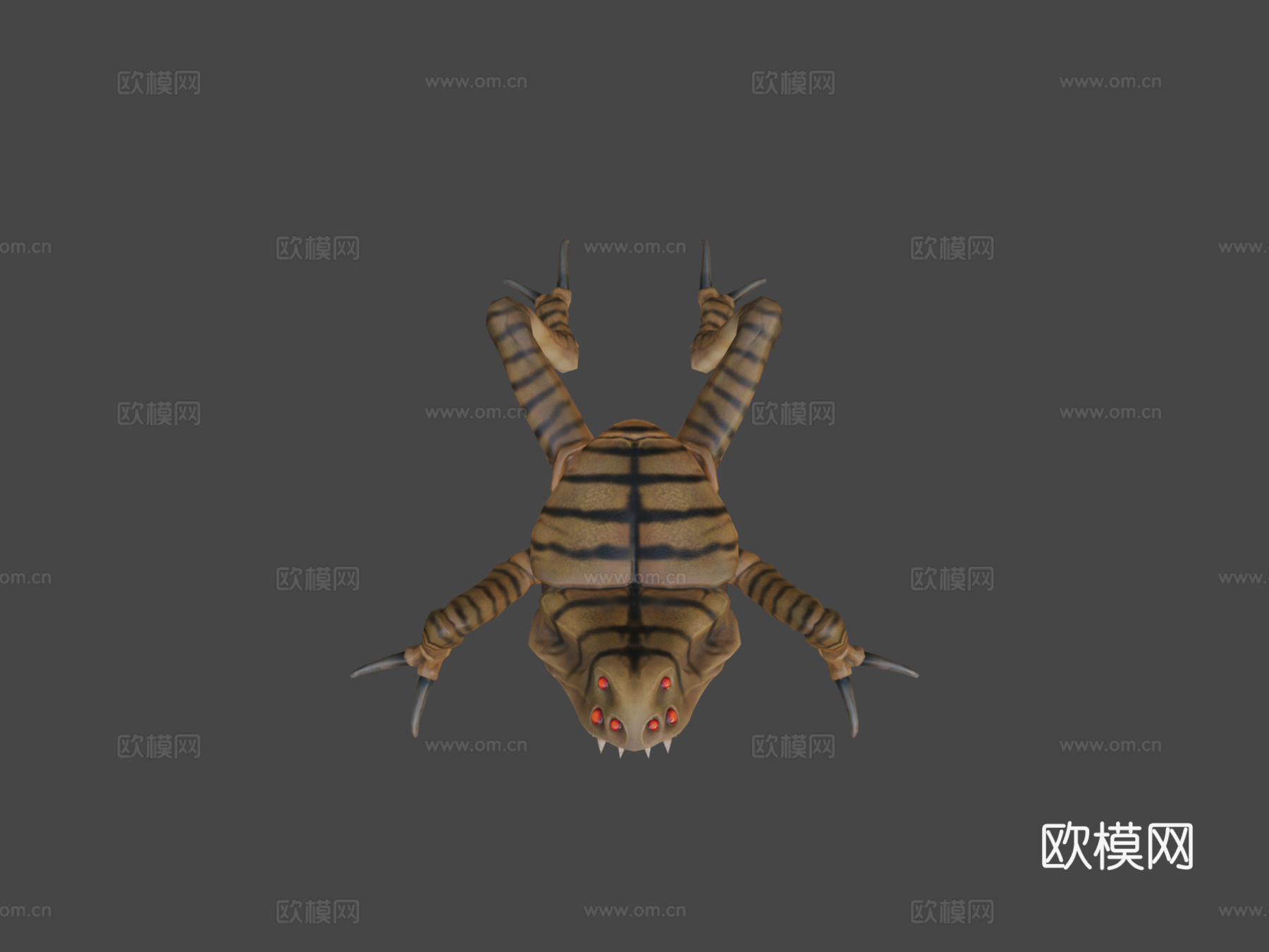 昆虫动画3d模型