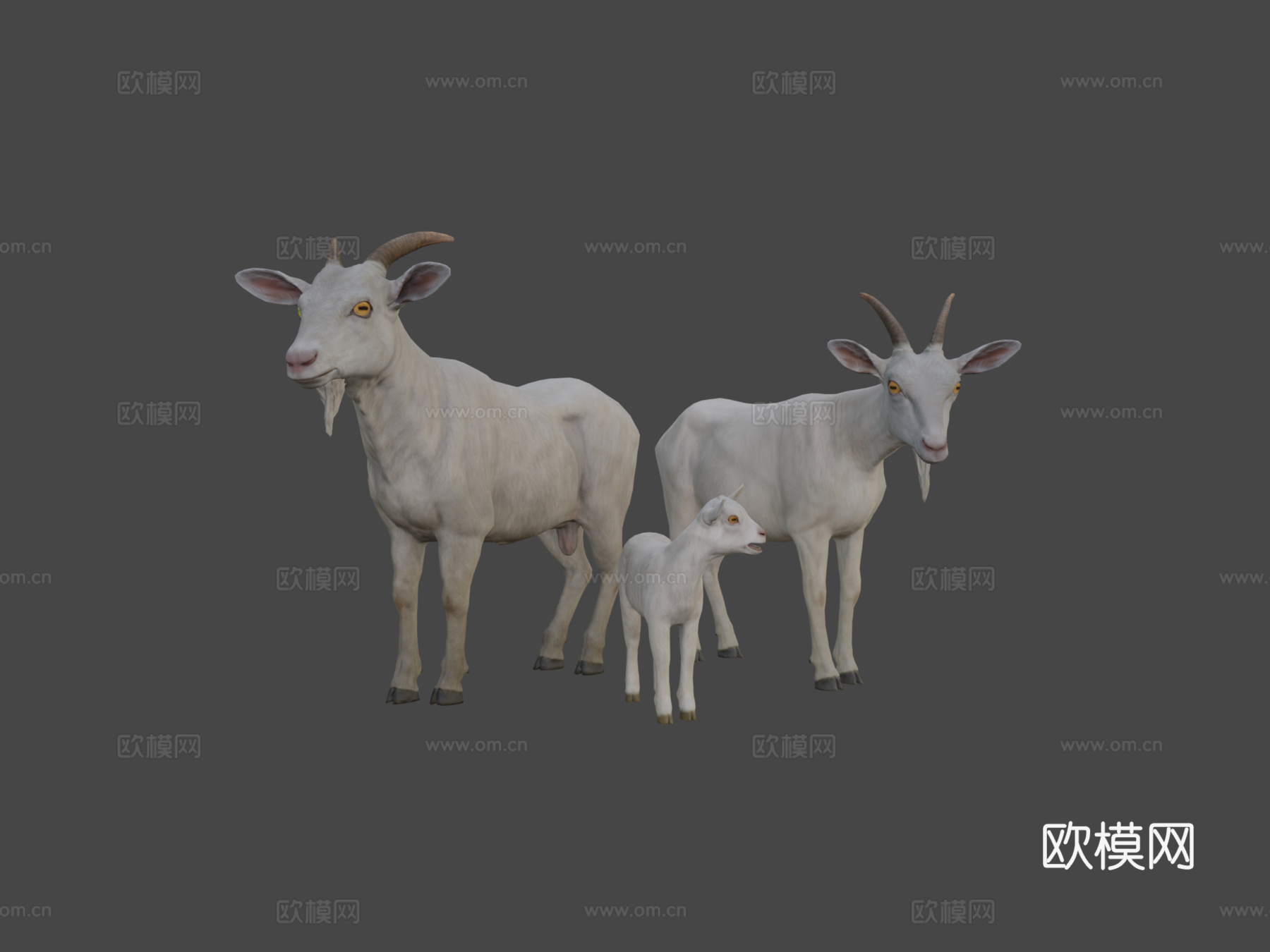 山羊家族3d模型