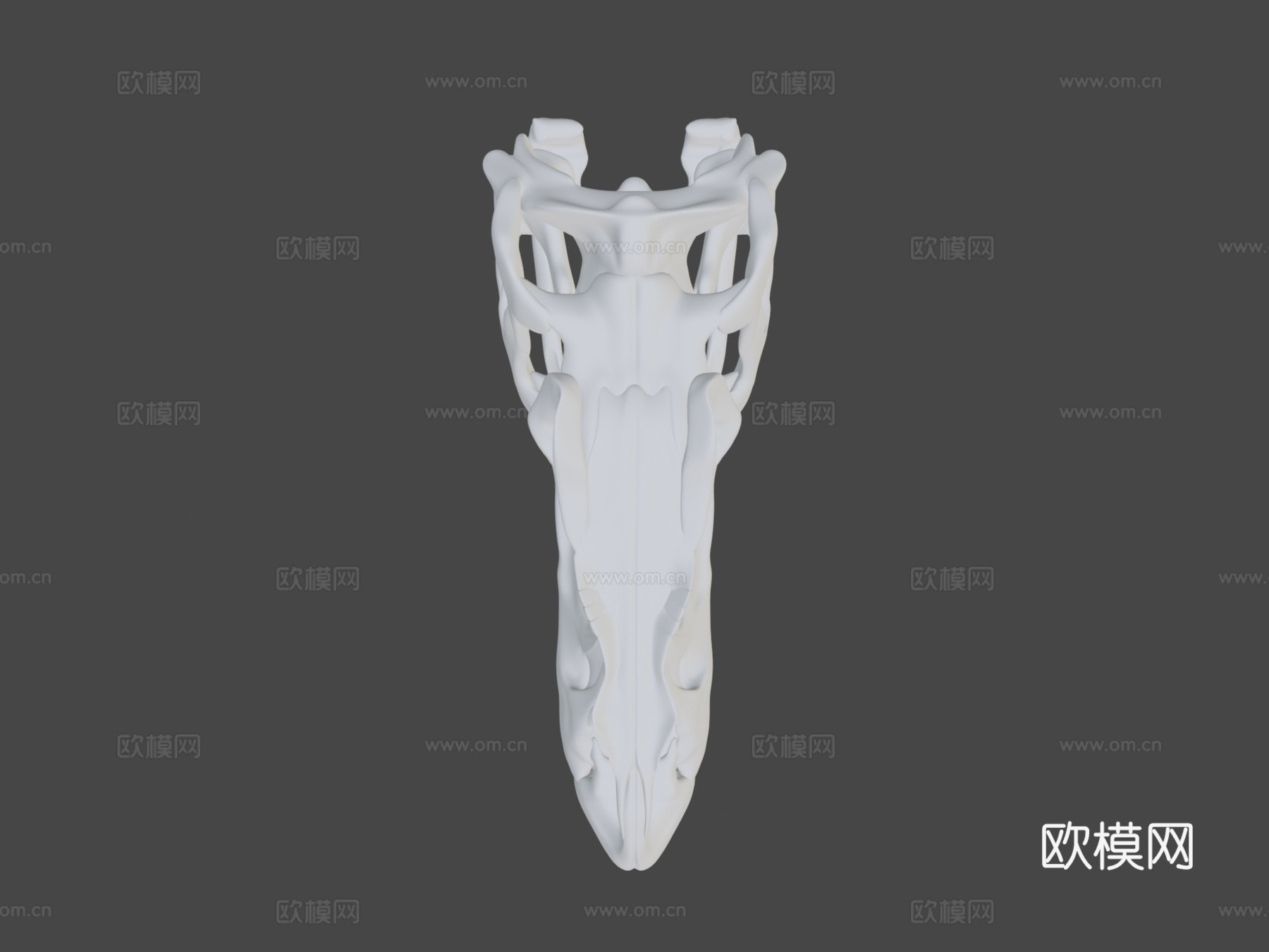 脆弱异特龙头骨3d模型