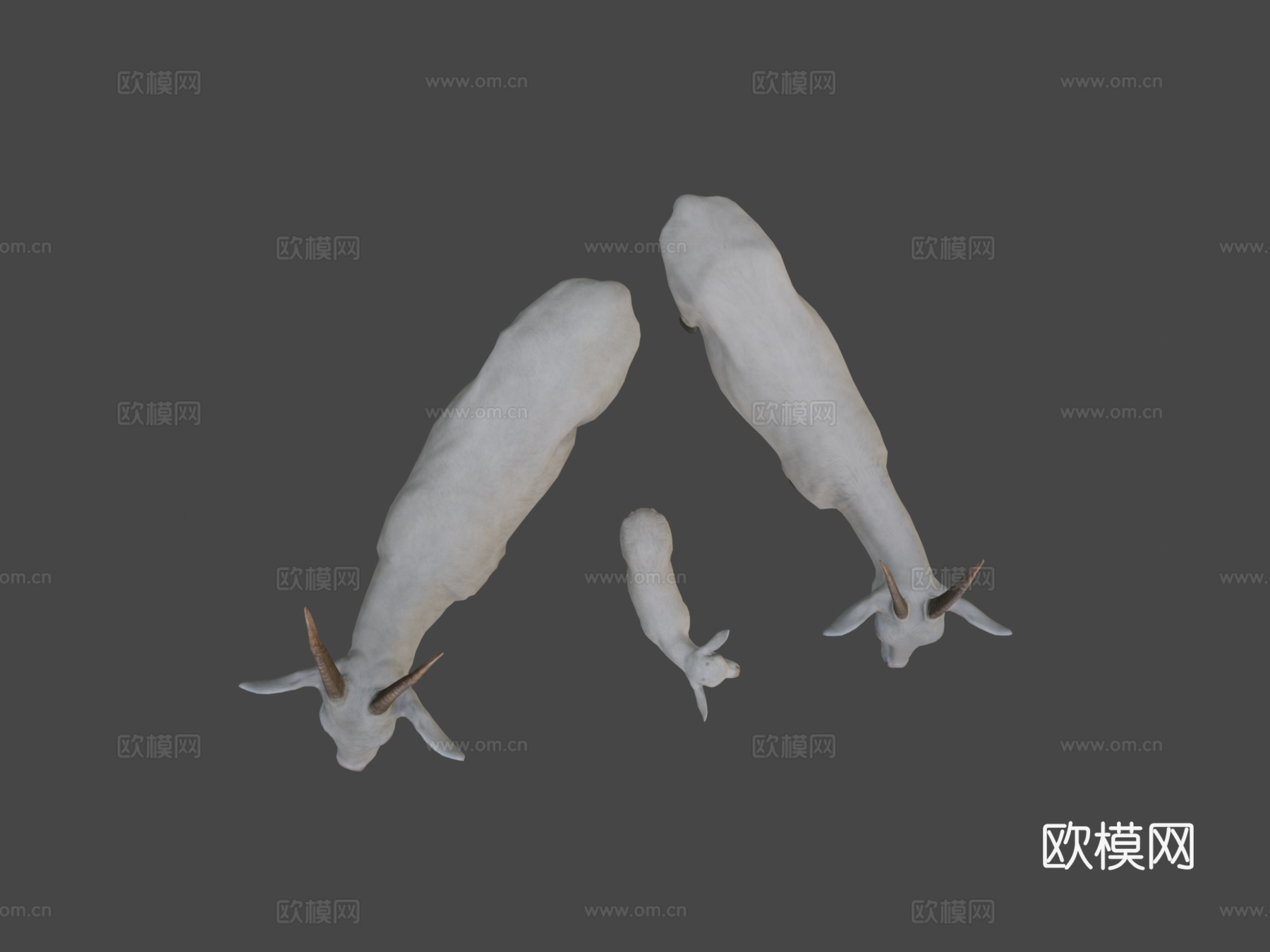 山羊家族3d模型