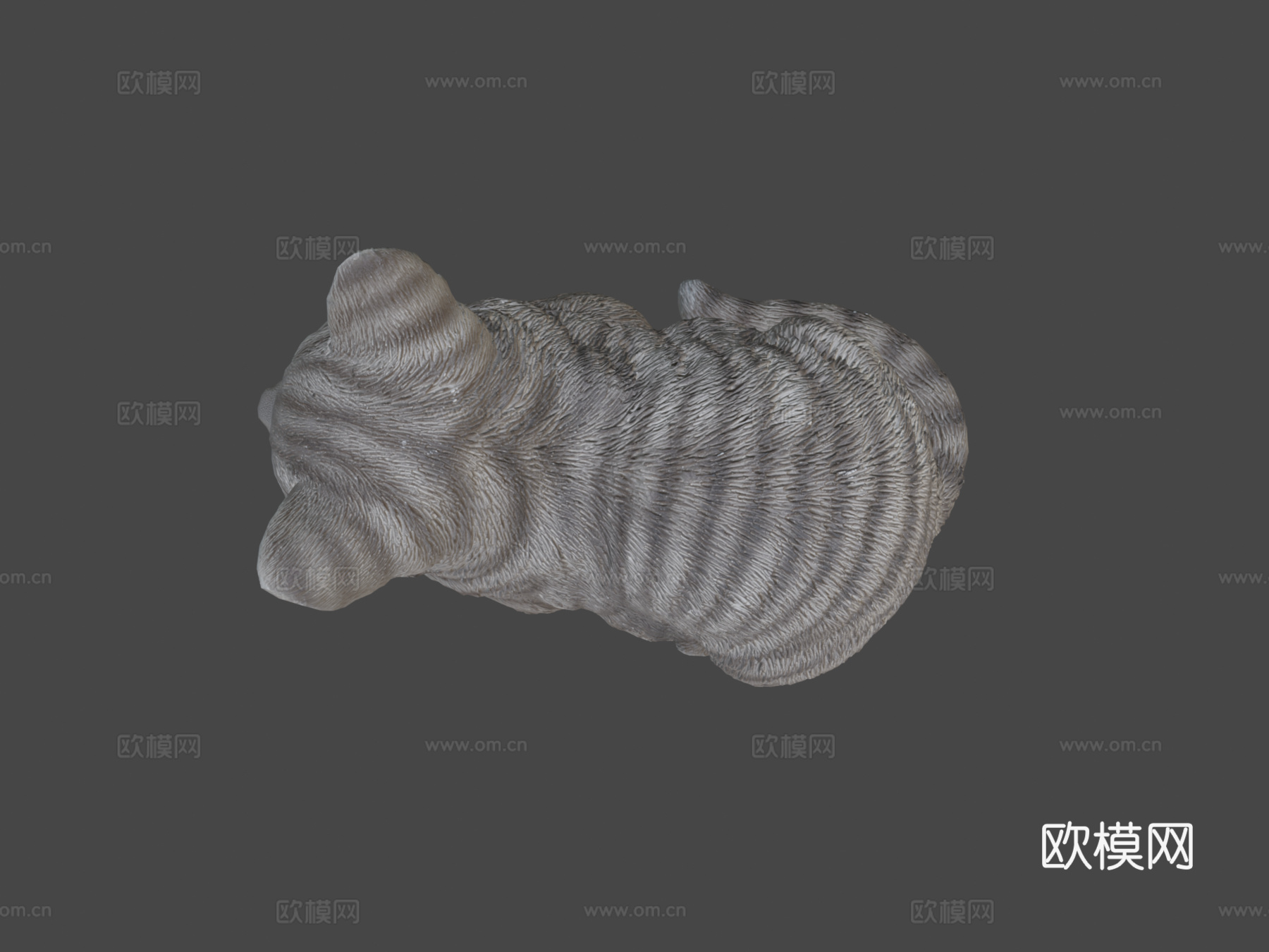 打盹猫3d模型