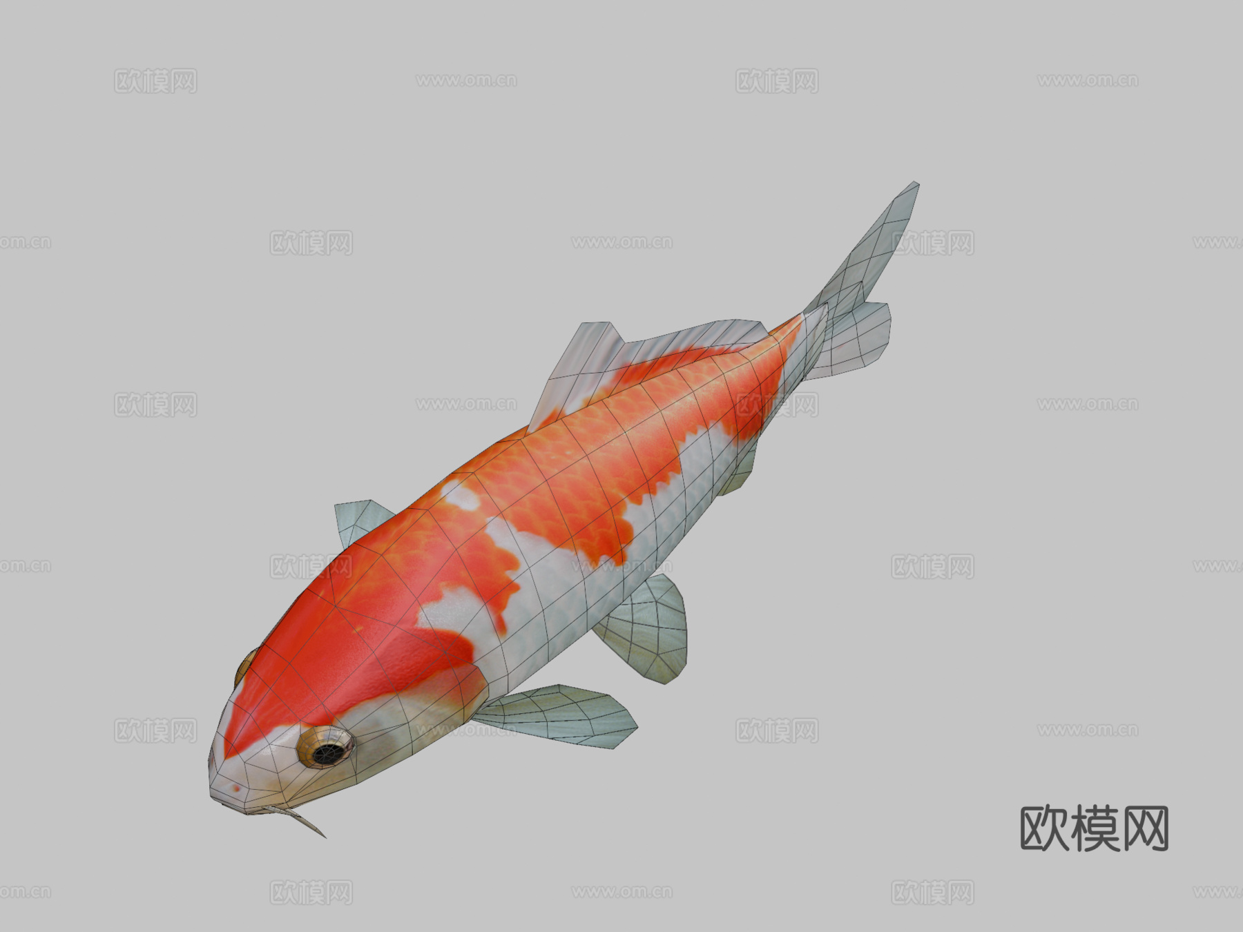 锦鲤3d模型