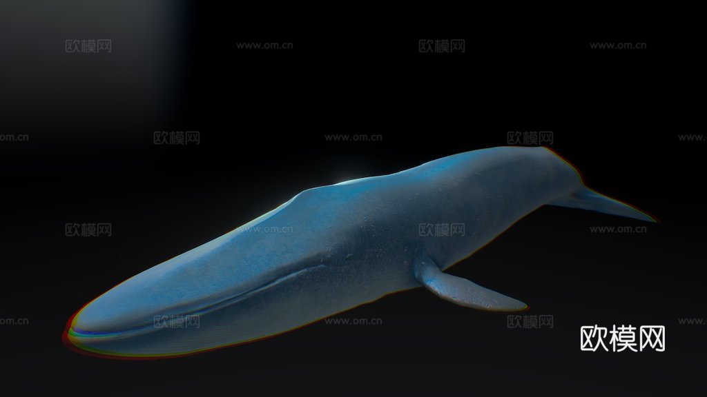 蓝鲸su模型下载（渲染图1）