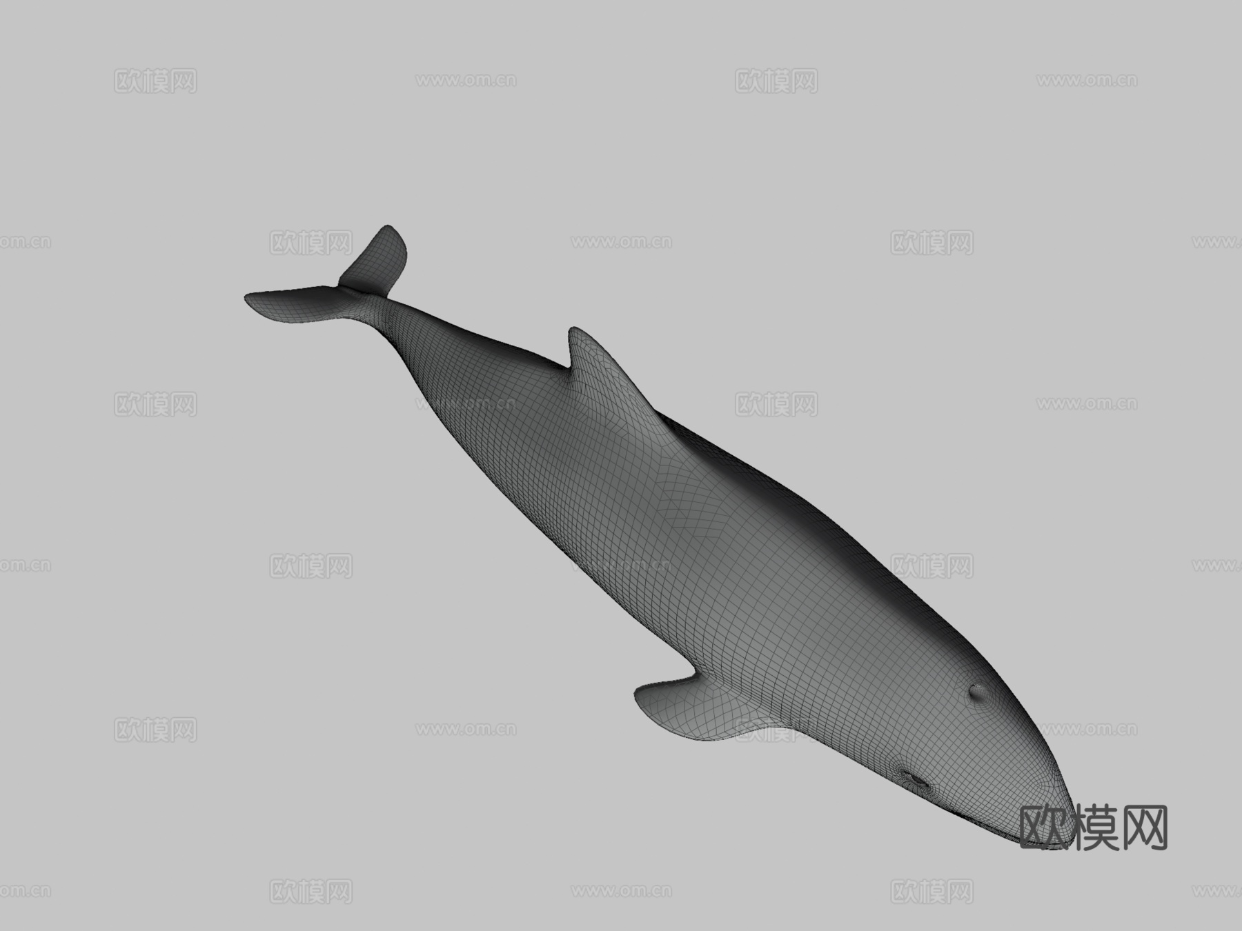 A型-港湾鼠海豚3d模型