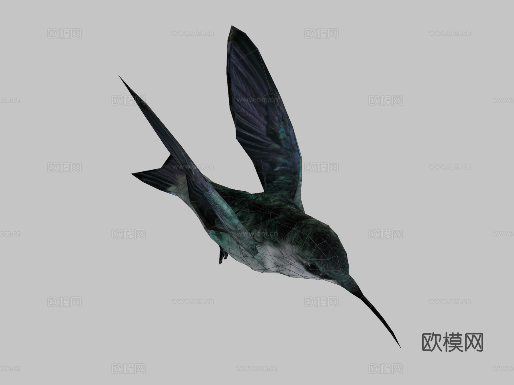 蜂鸟3d模型