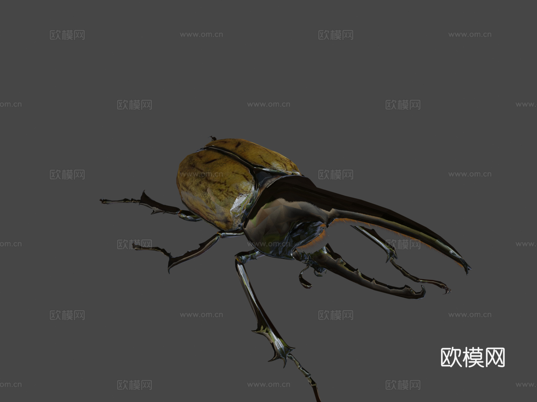 赫拉克勒斯大兜虫3d模型