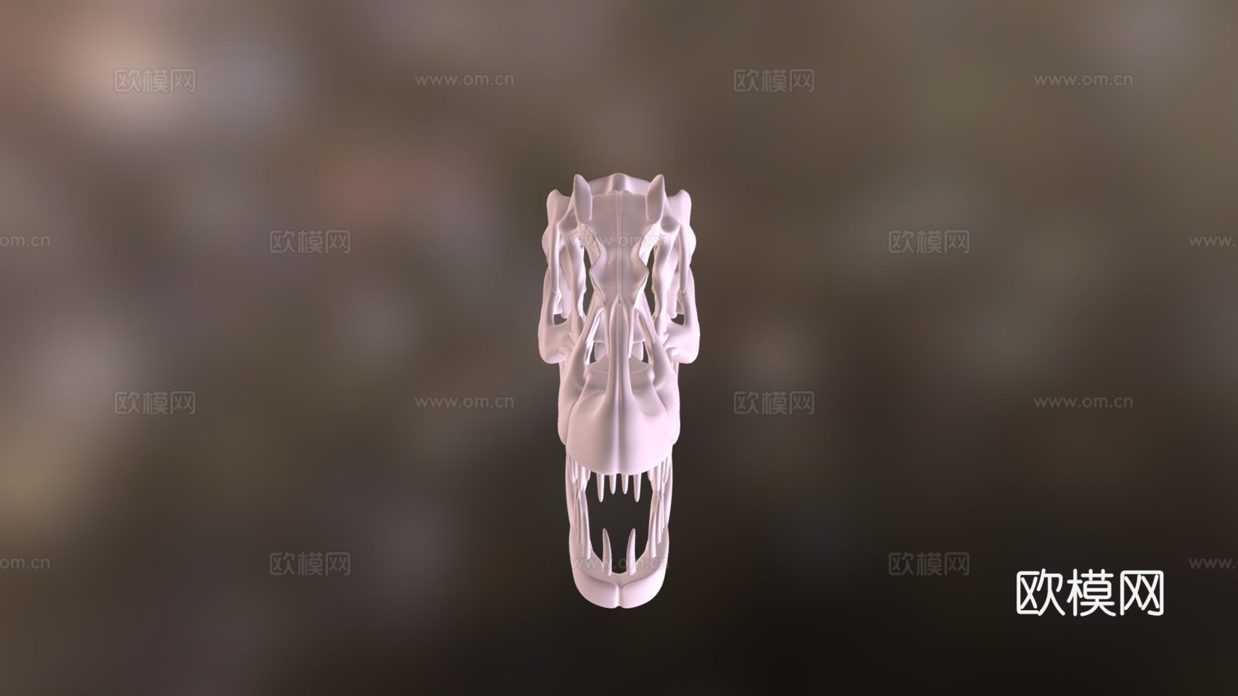 脆弱异特龙头骨3d模型