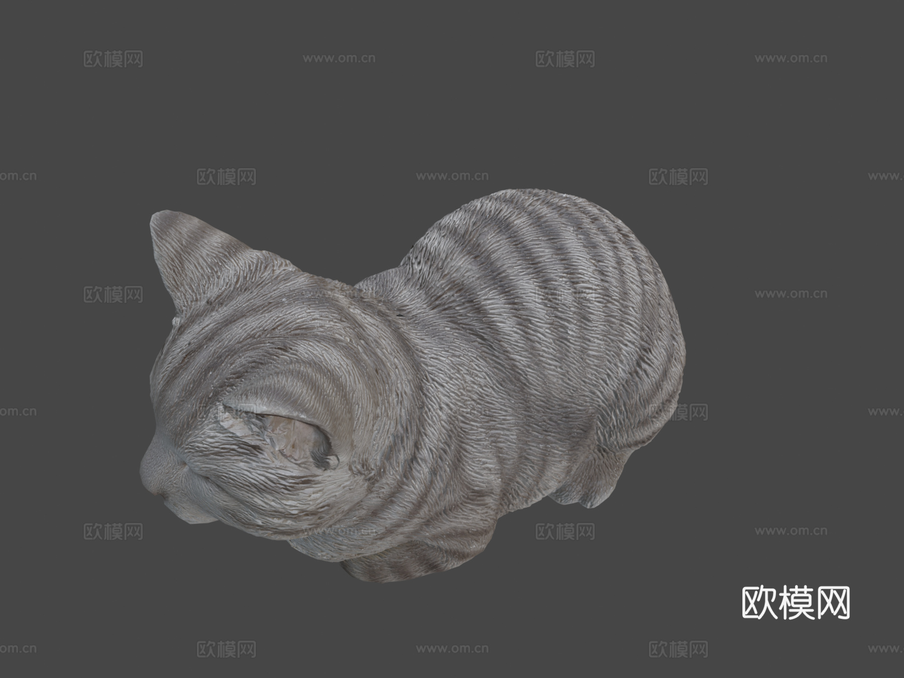 打盹猫3d模型