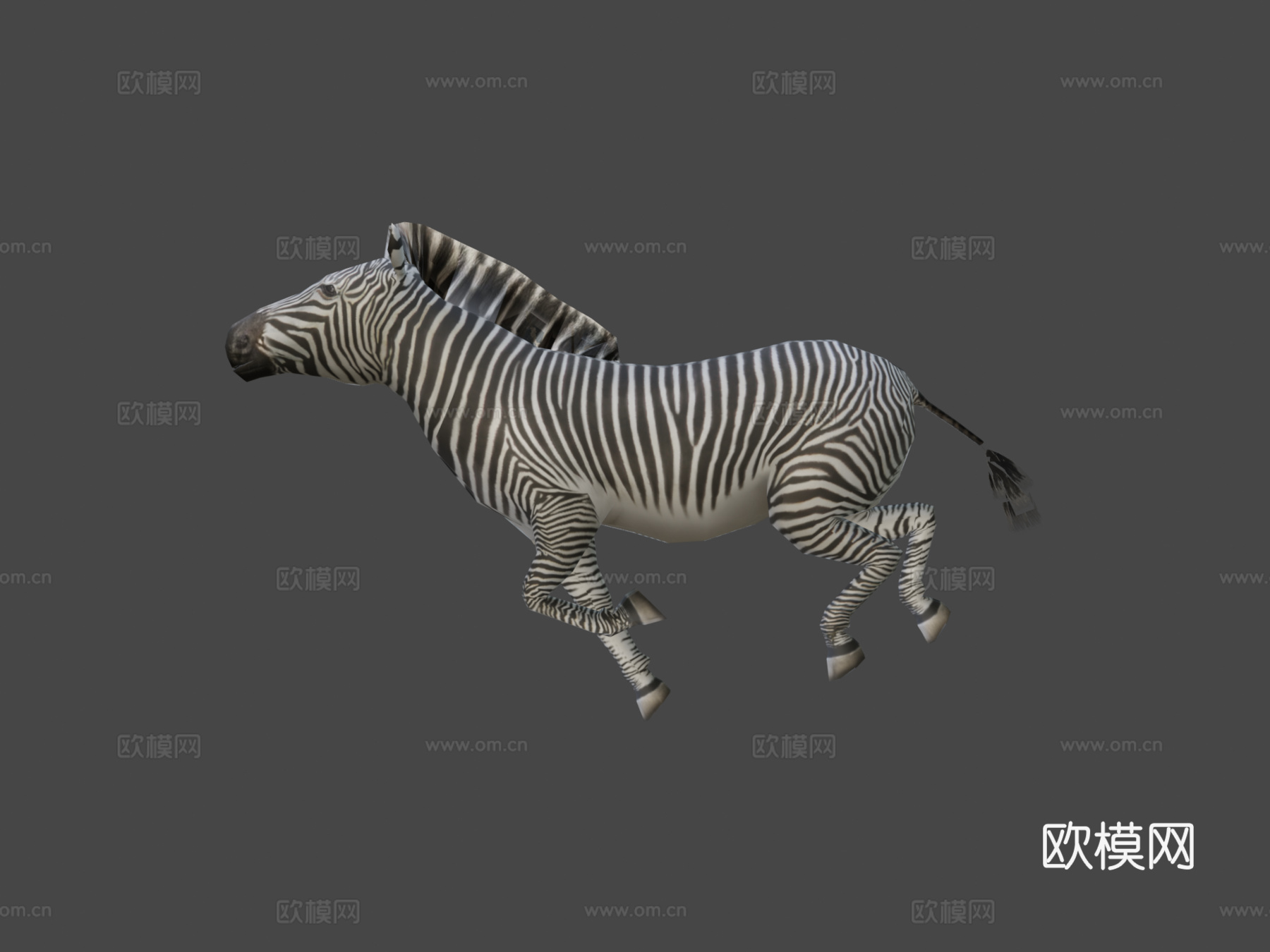 斑马奔跑3d模型