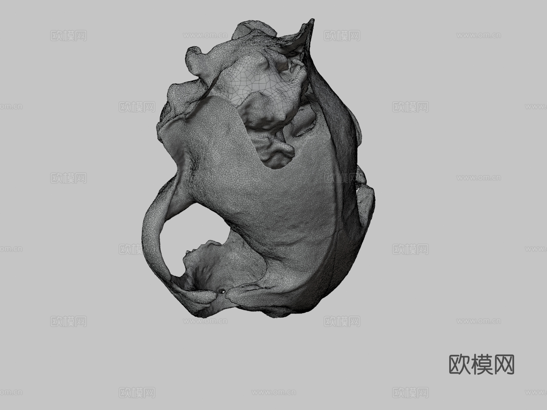 猫头骨-猫头骨3d模型