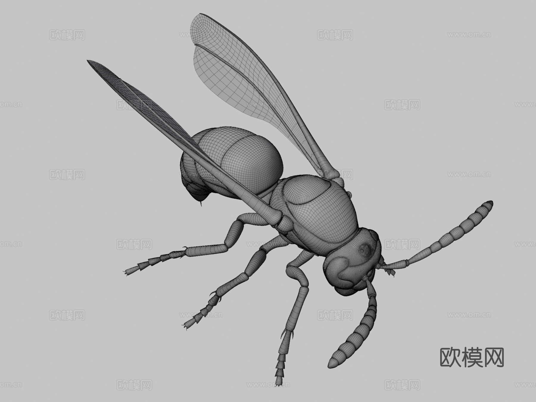 黄蜂3d模型