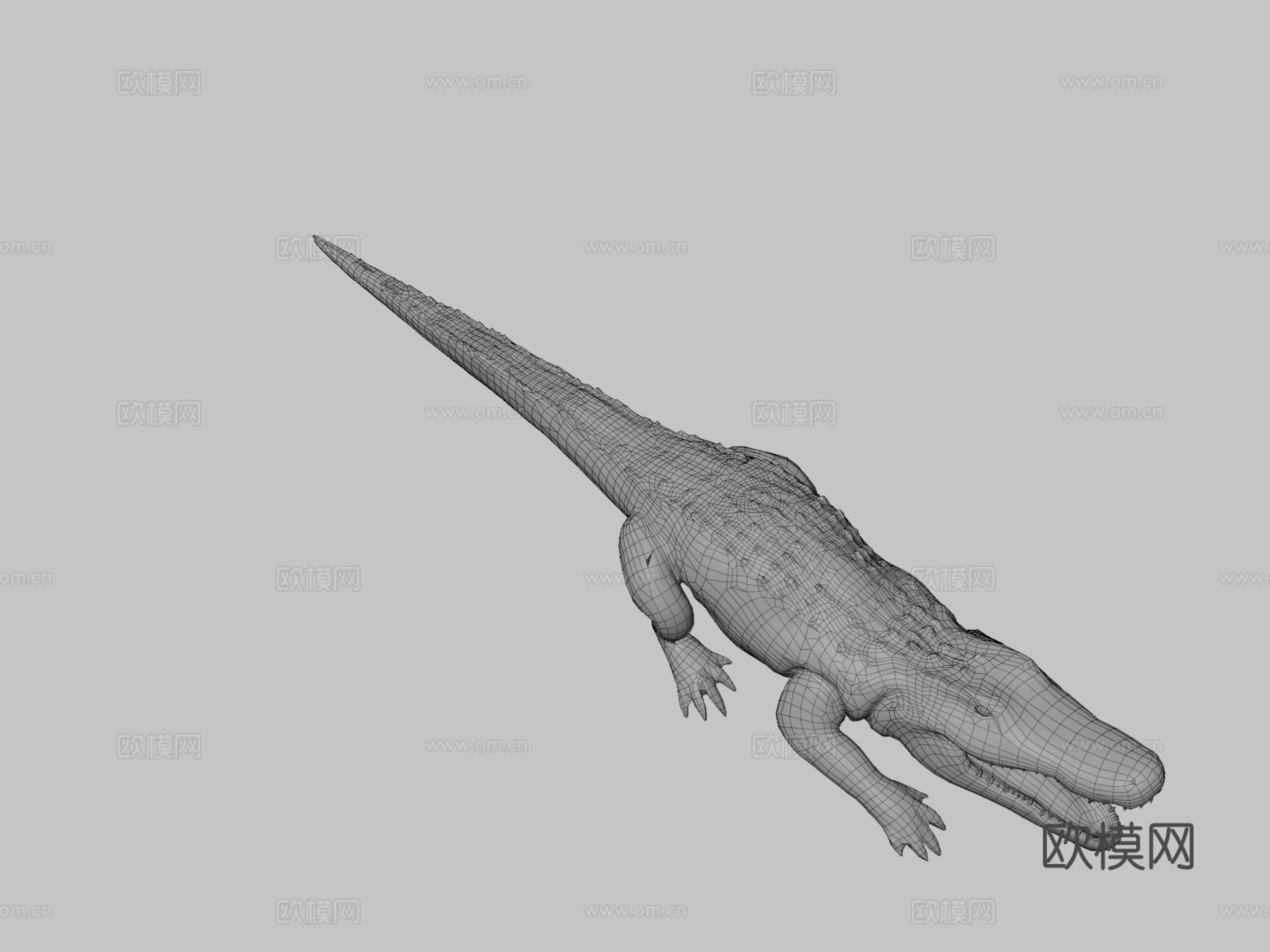 短吻鳄3d模型