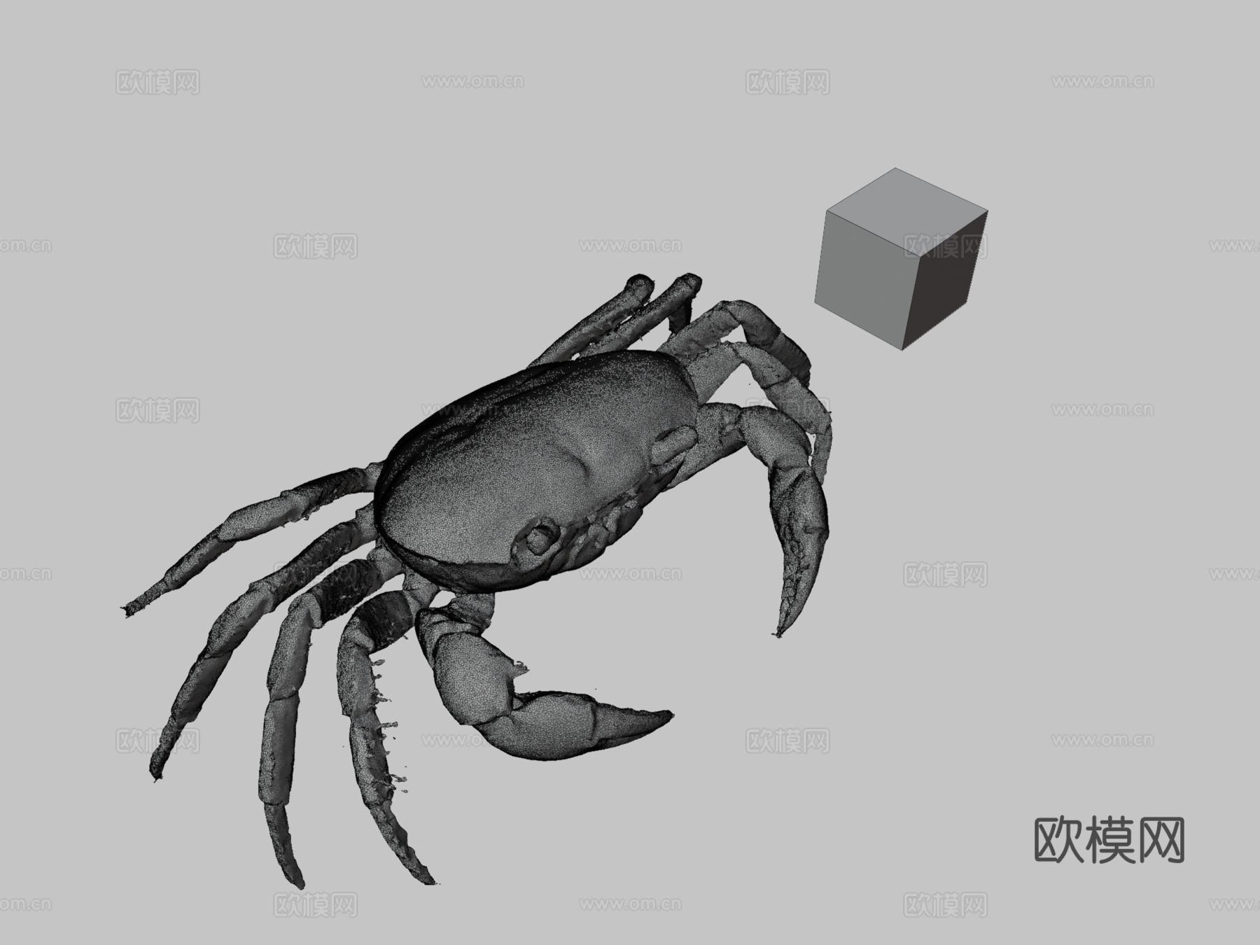 CC0泽蟹日本淡水蟹3d模型