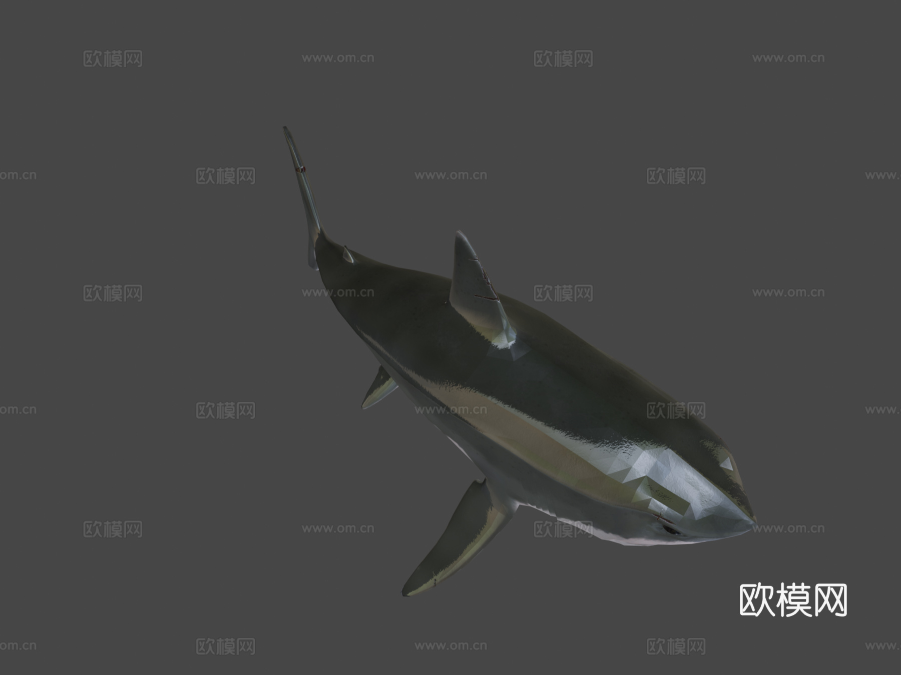 低多边形鲨鱼3d模型
