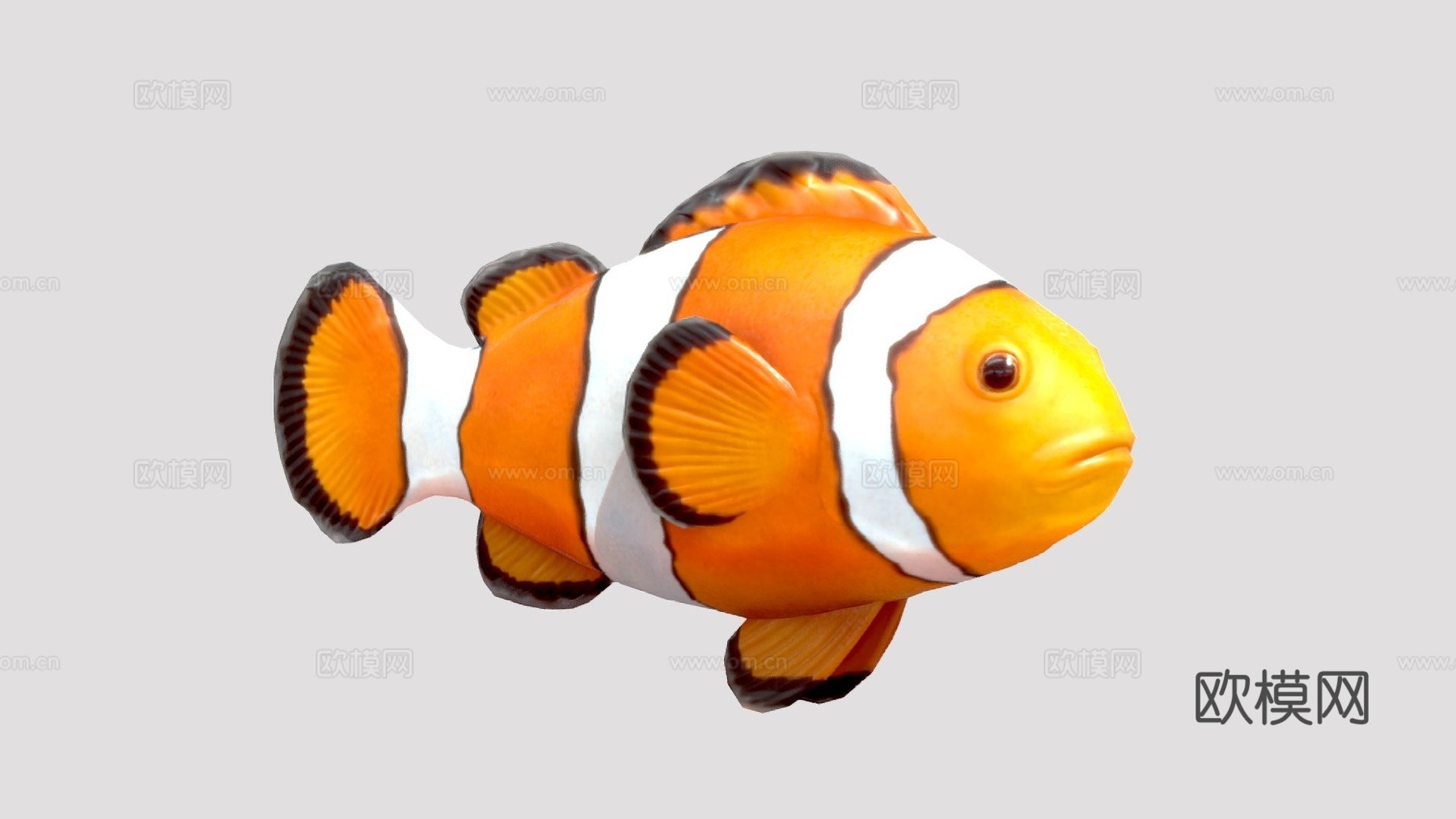 小丑鱼3d模型