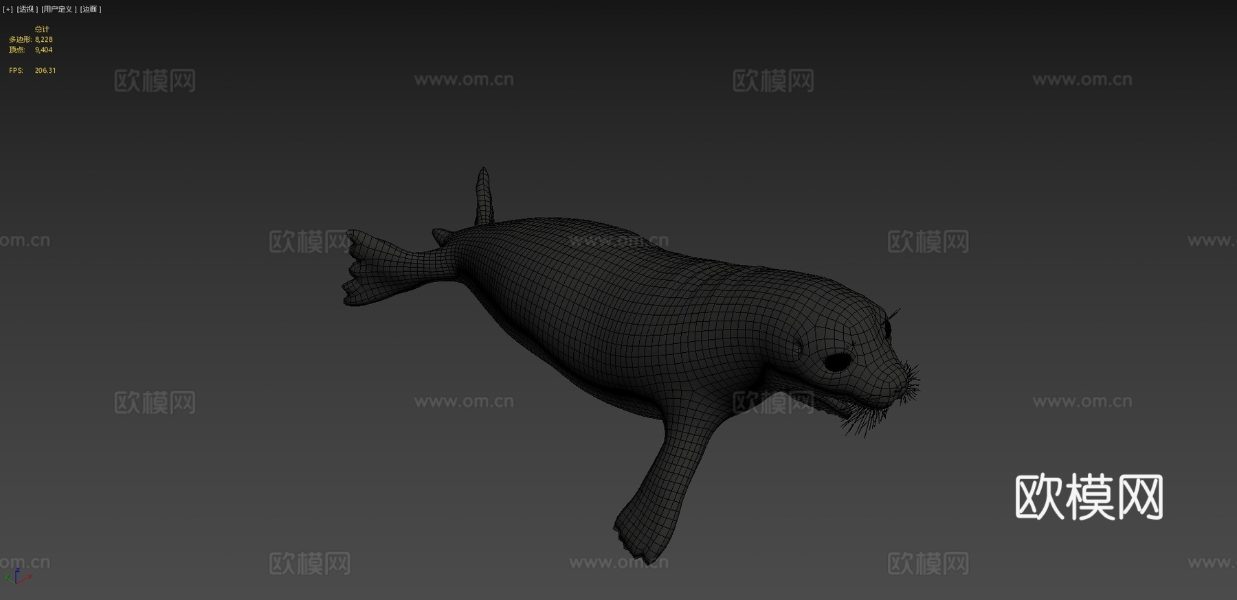 普通海豹3d模型