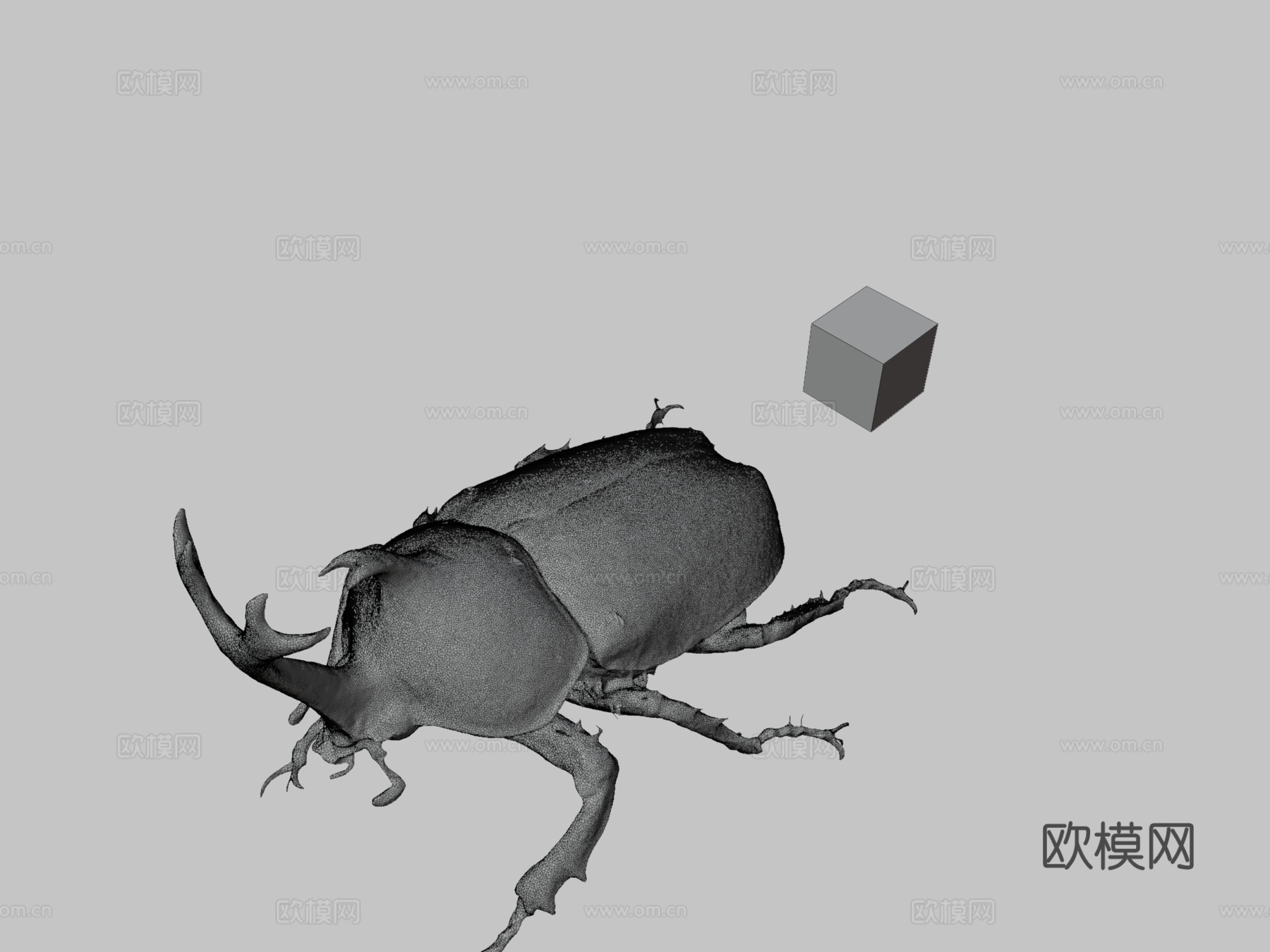 CC0独角仙♂日本犀金龟3d模型