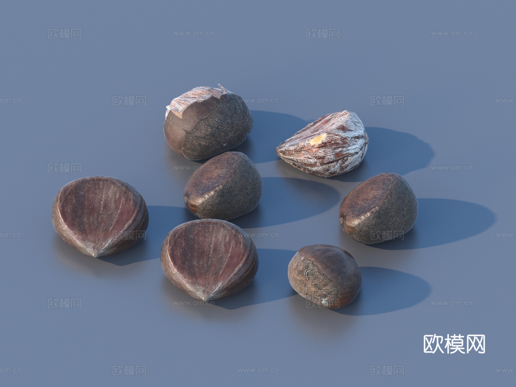 坚果 食物3d模型