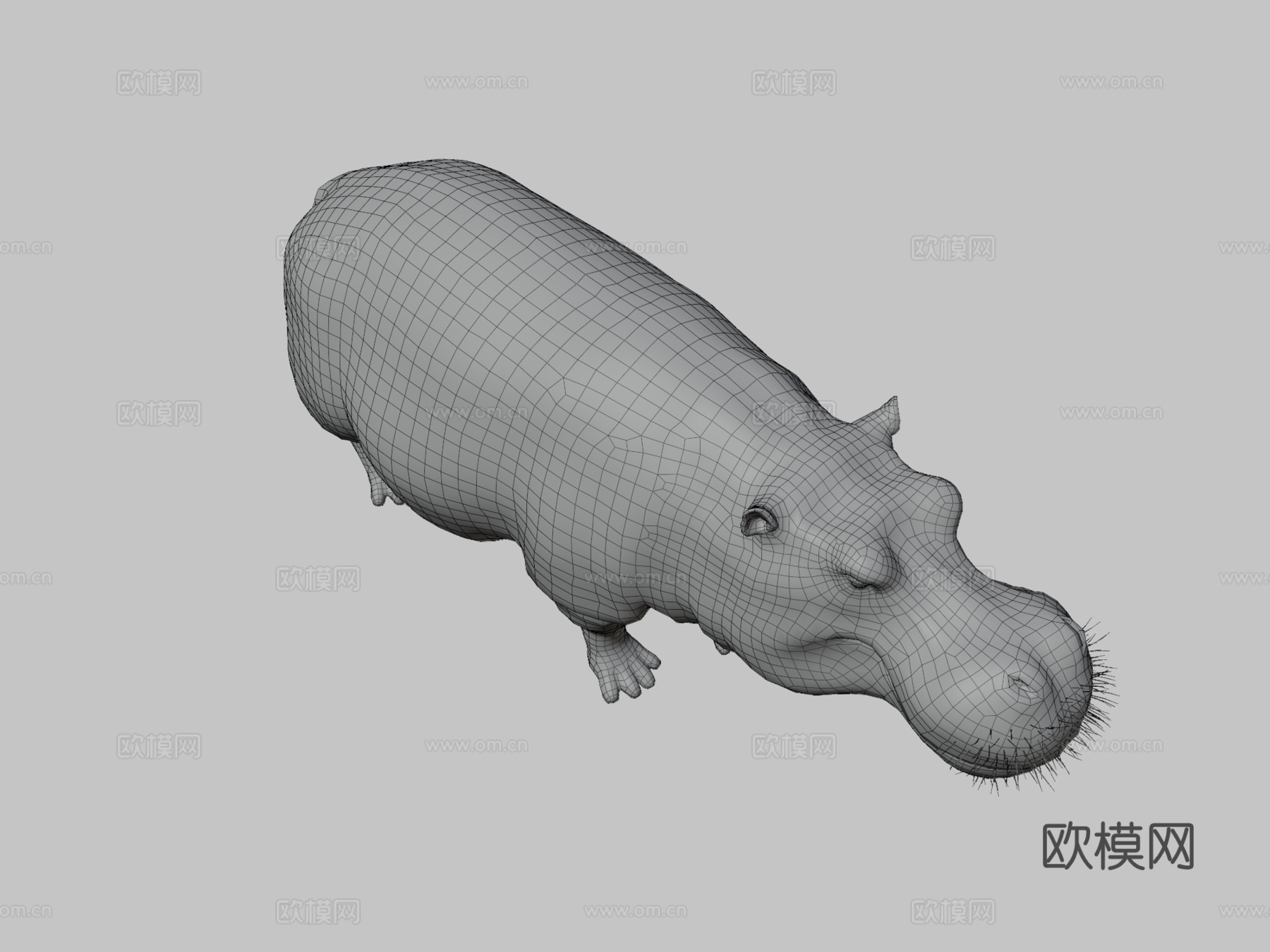 河马3d模型