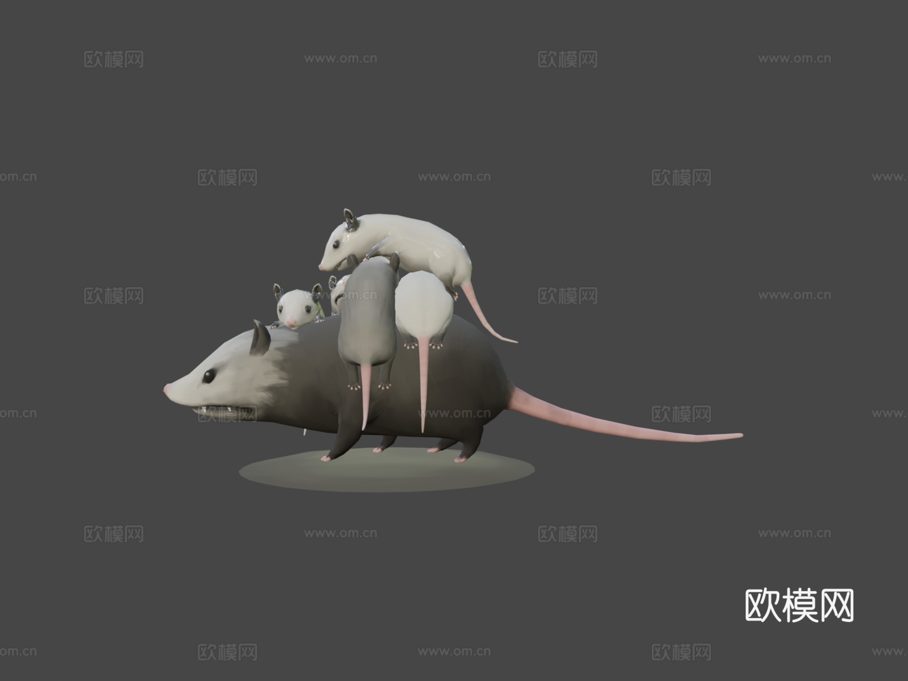 负鼠妈妈3d模型