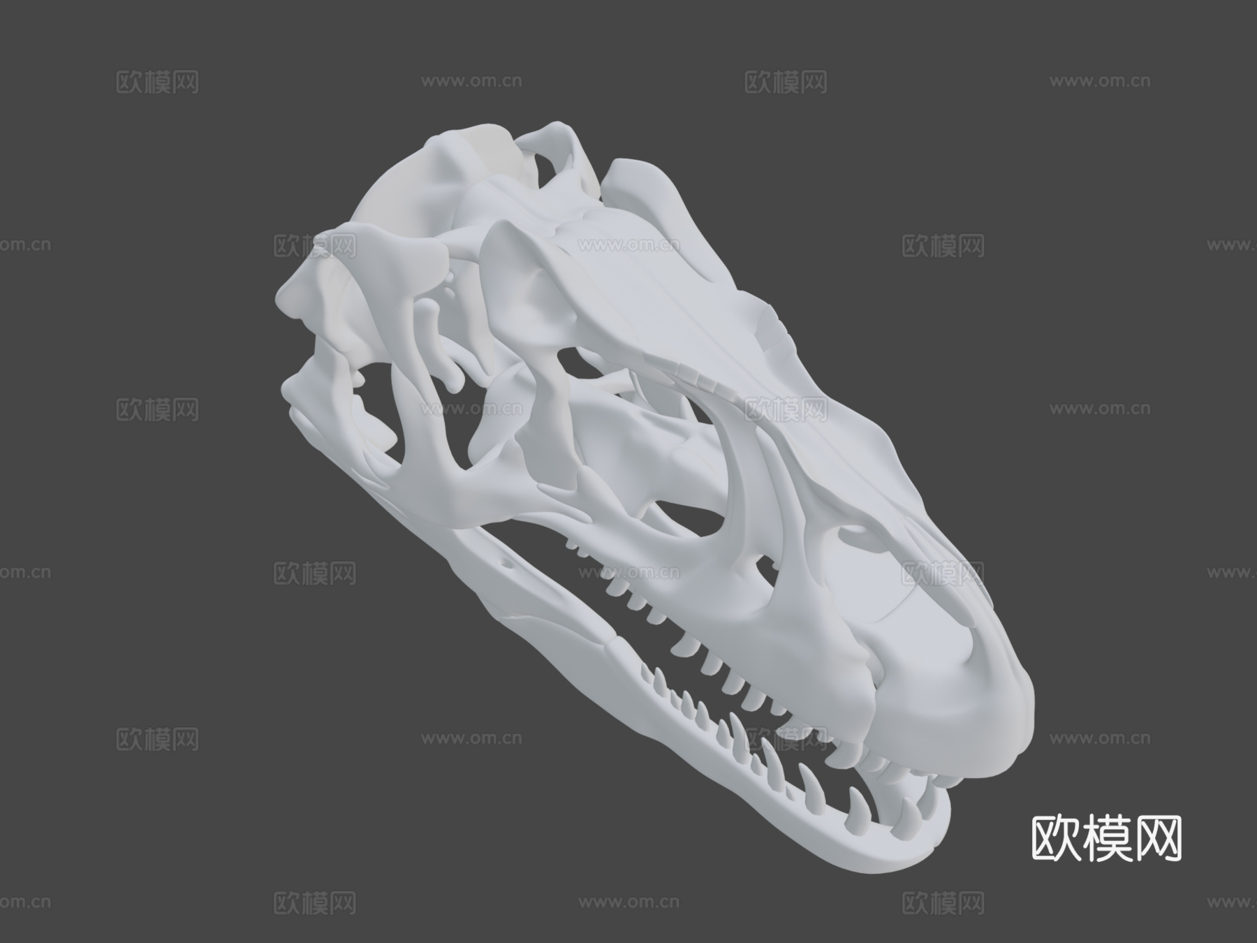 脆弱异特龙头骨3d模型