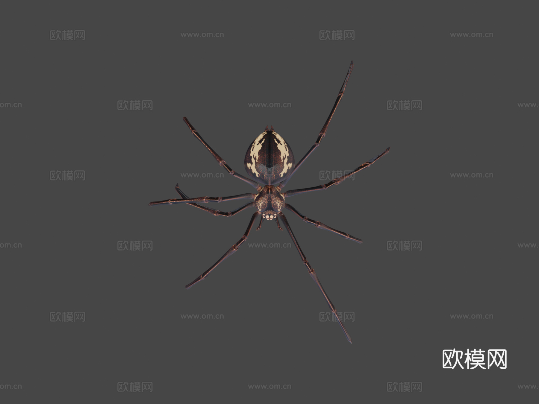 生物发光幻想蜘蛛3d模型