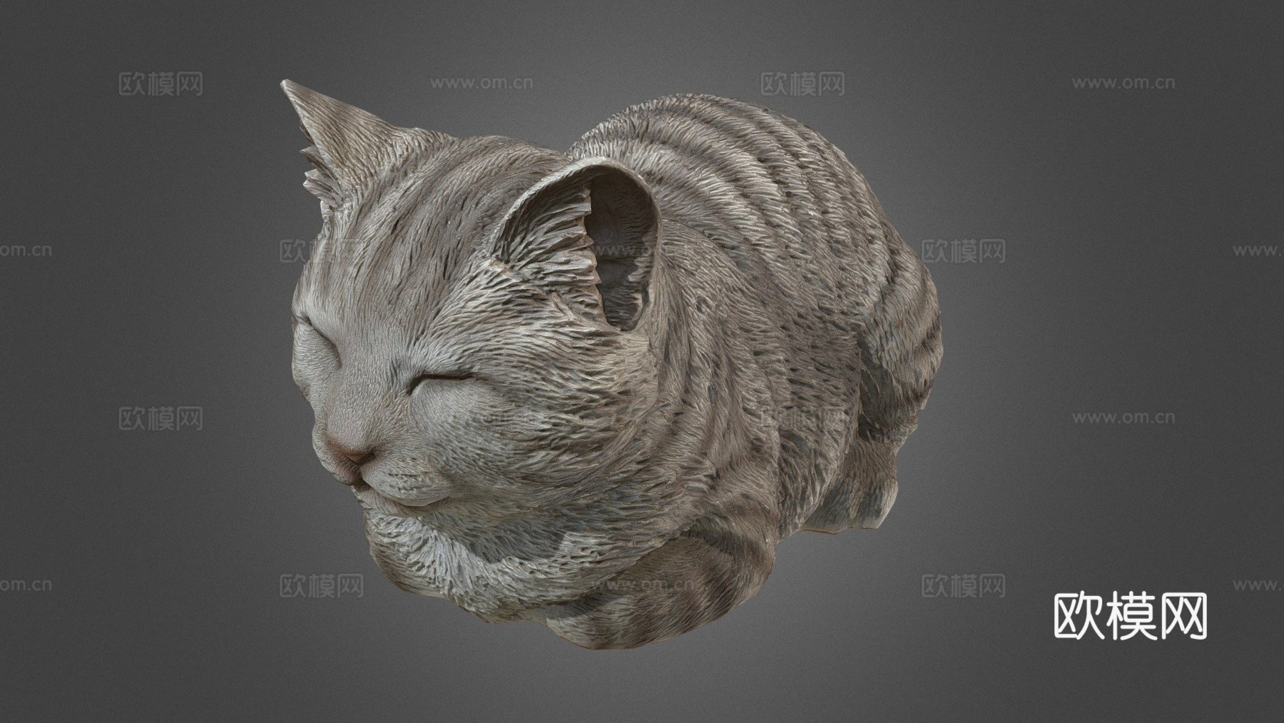 打盹猫3d模型