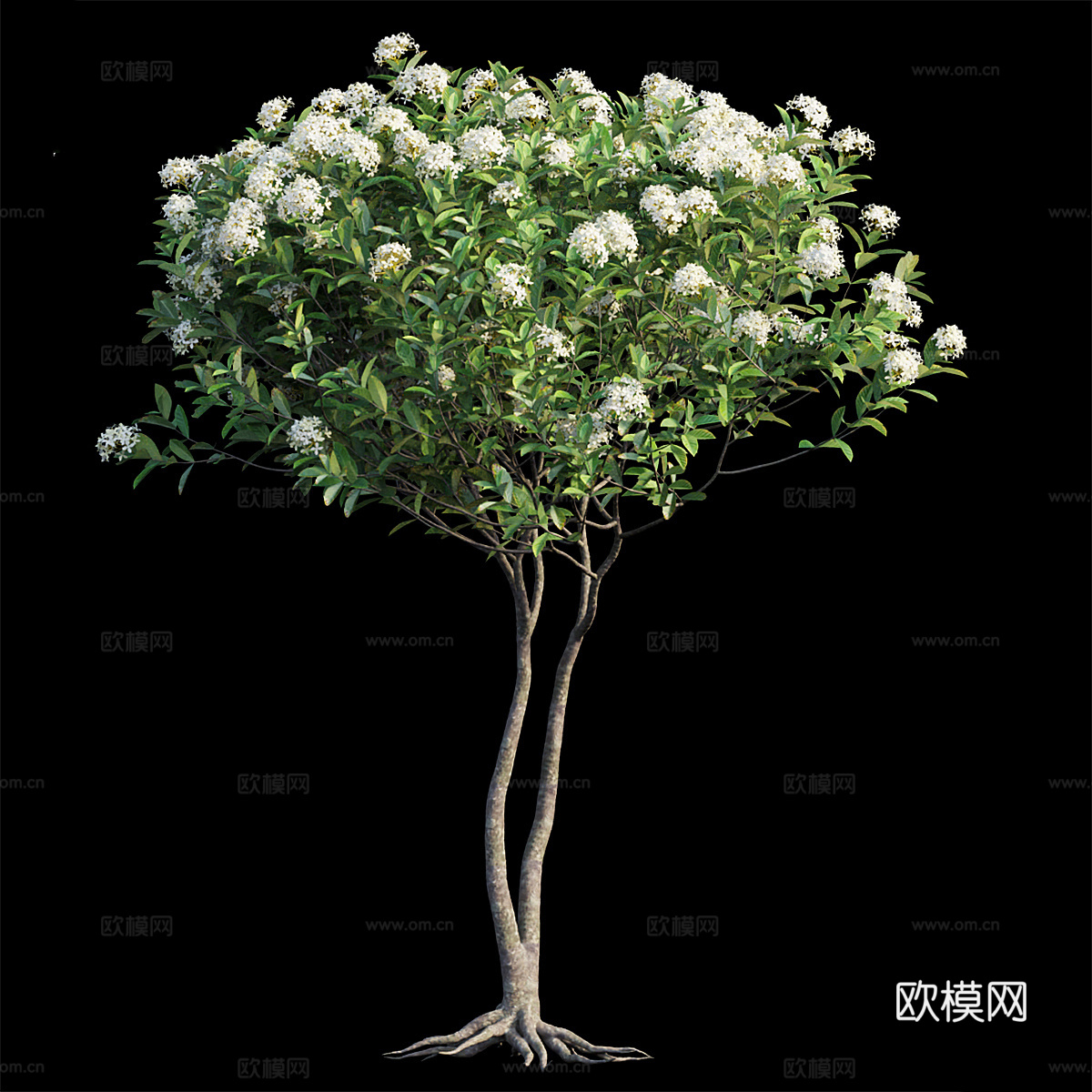 花树3d模型