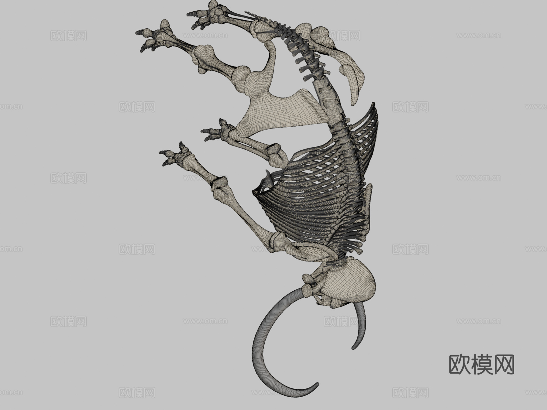 猛犸象骨架3d模型