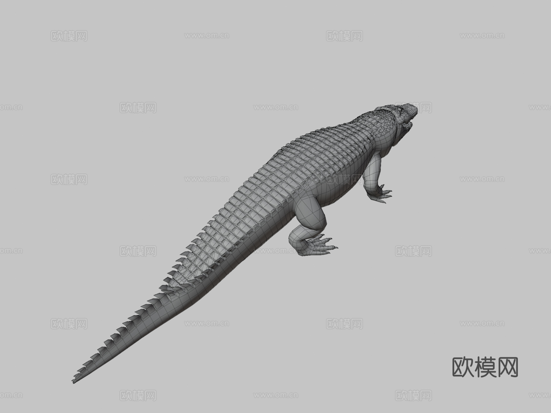 美洲短吻鳄-Blender文件3d模型