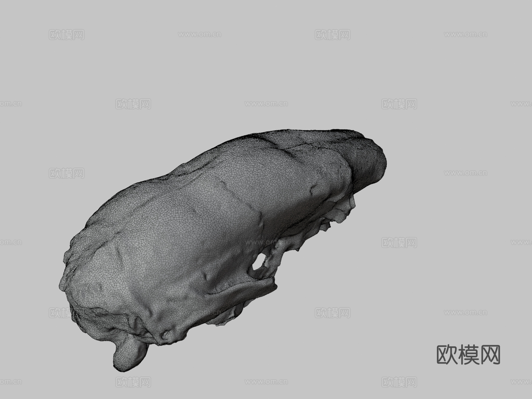 沙斯塔地懒3d模型