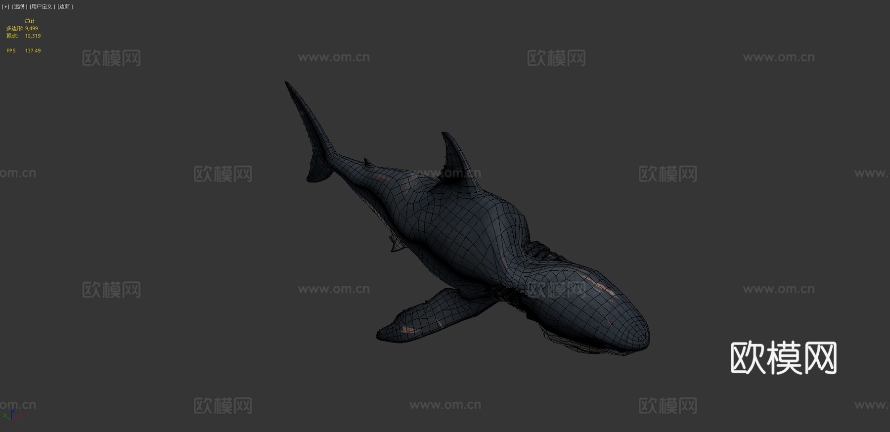 巨齿鲨3d模型