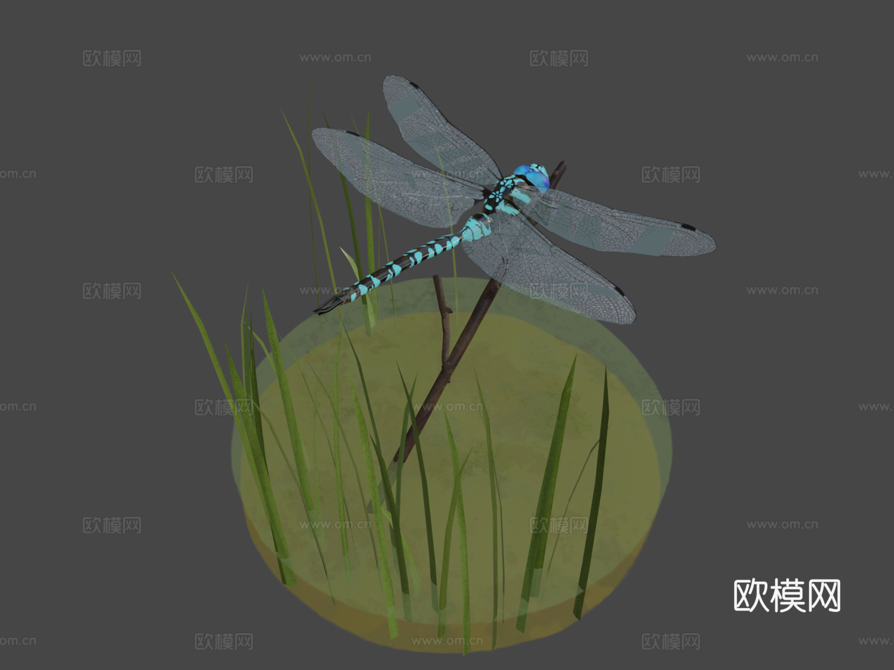 蓝蜻蜓3d模型
