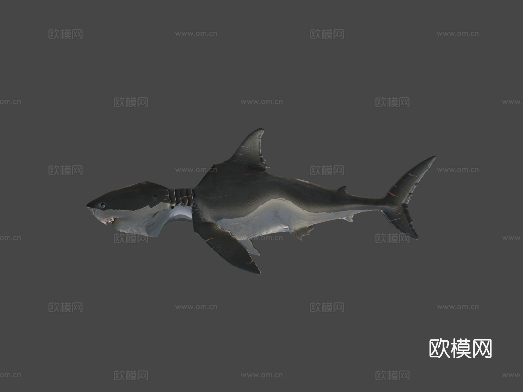 巨齿鲨3d模型