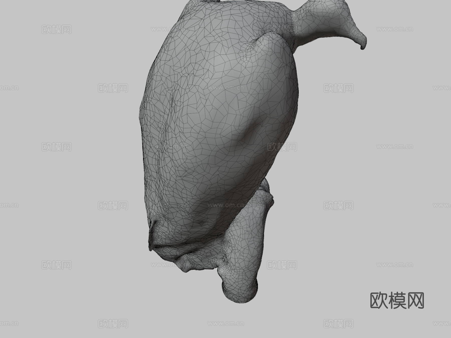 红头美洲鹫3d模型