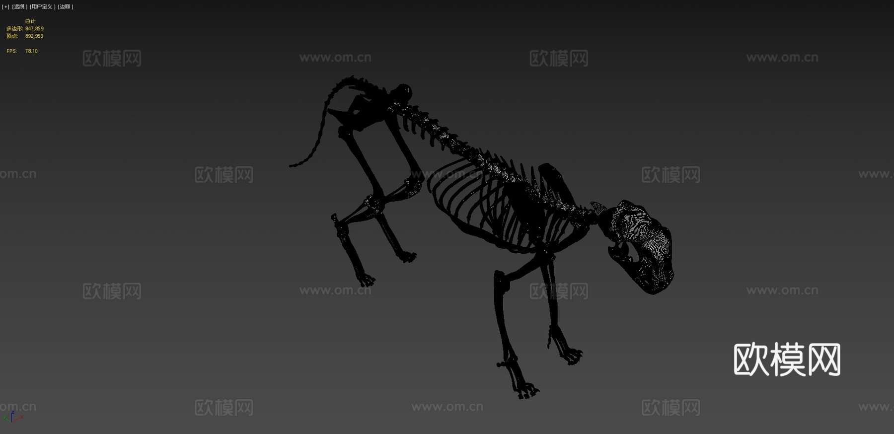猫骨架3D模型3d模型