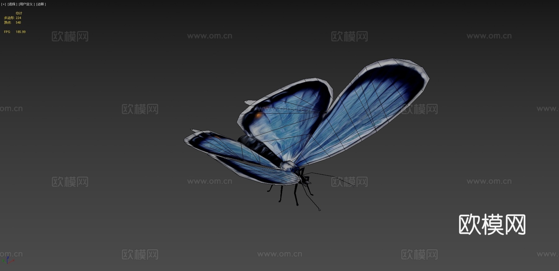 东方尾蓝蝶3d模型