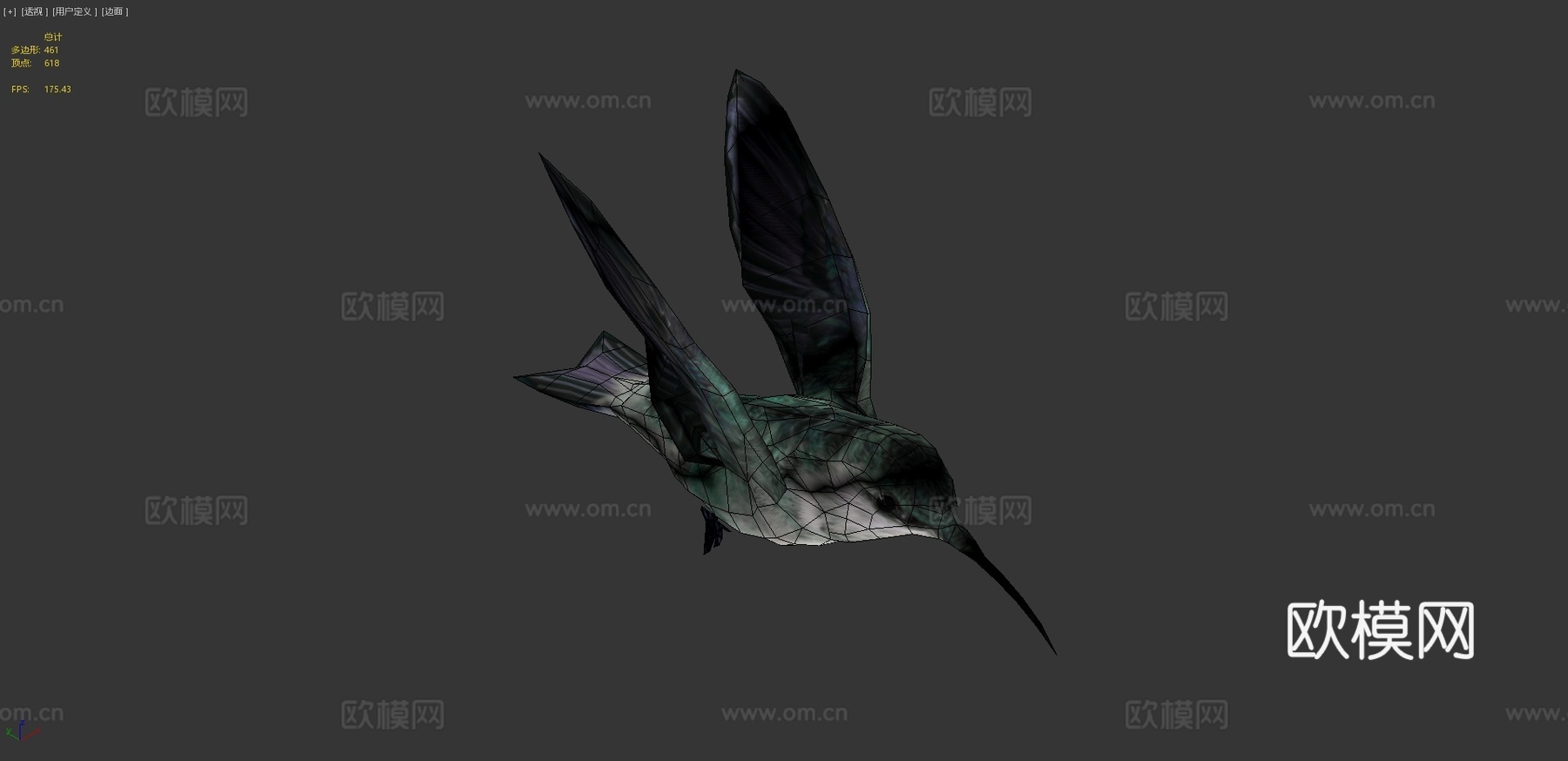 蜂鸟3d模型