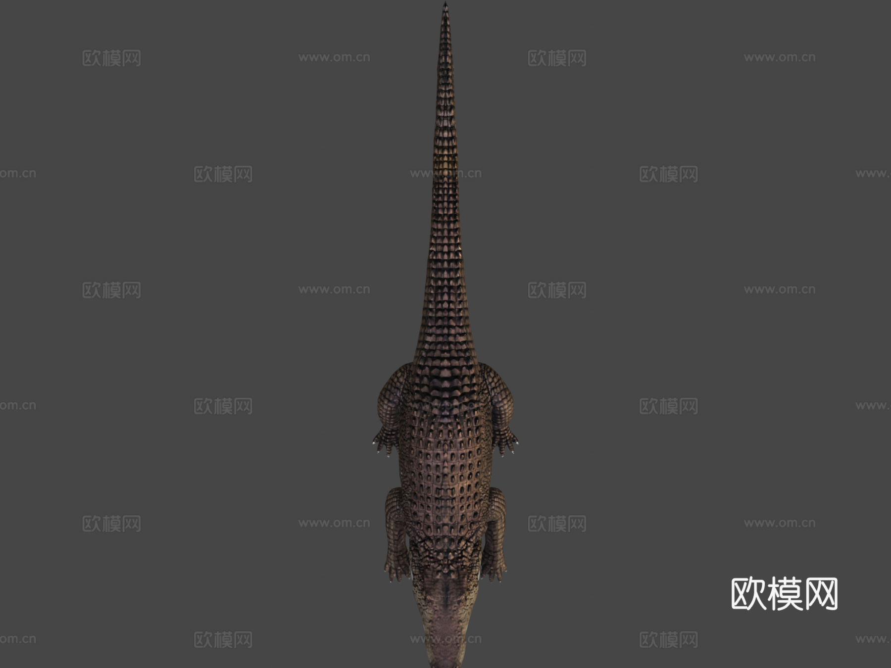 短吻鳄3d模型