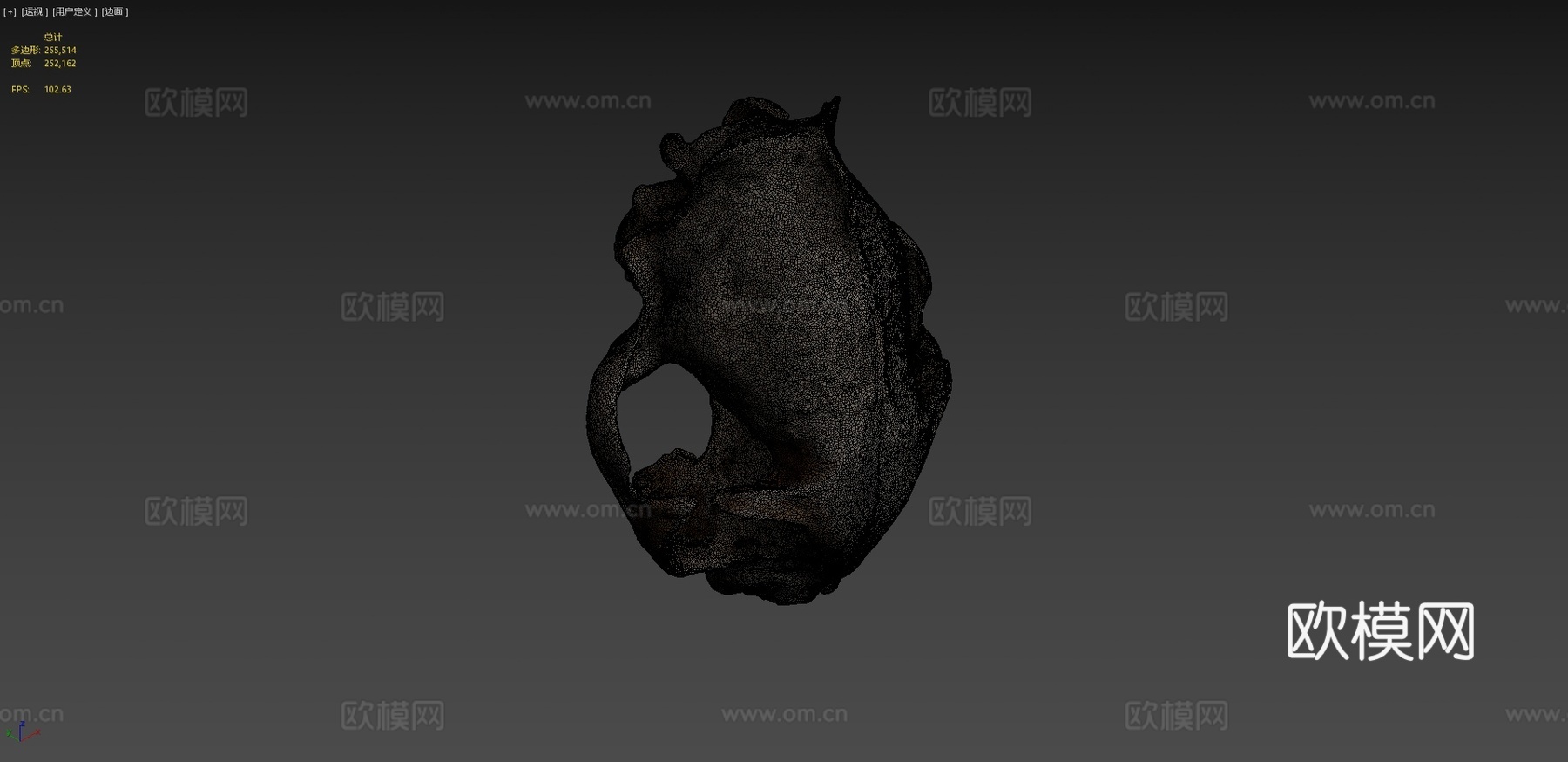 猫头骨-猫头骨3d模型