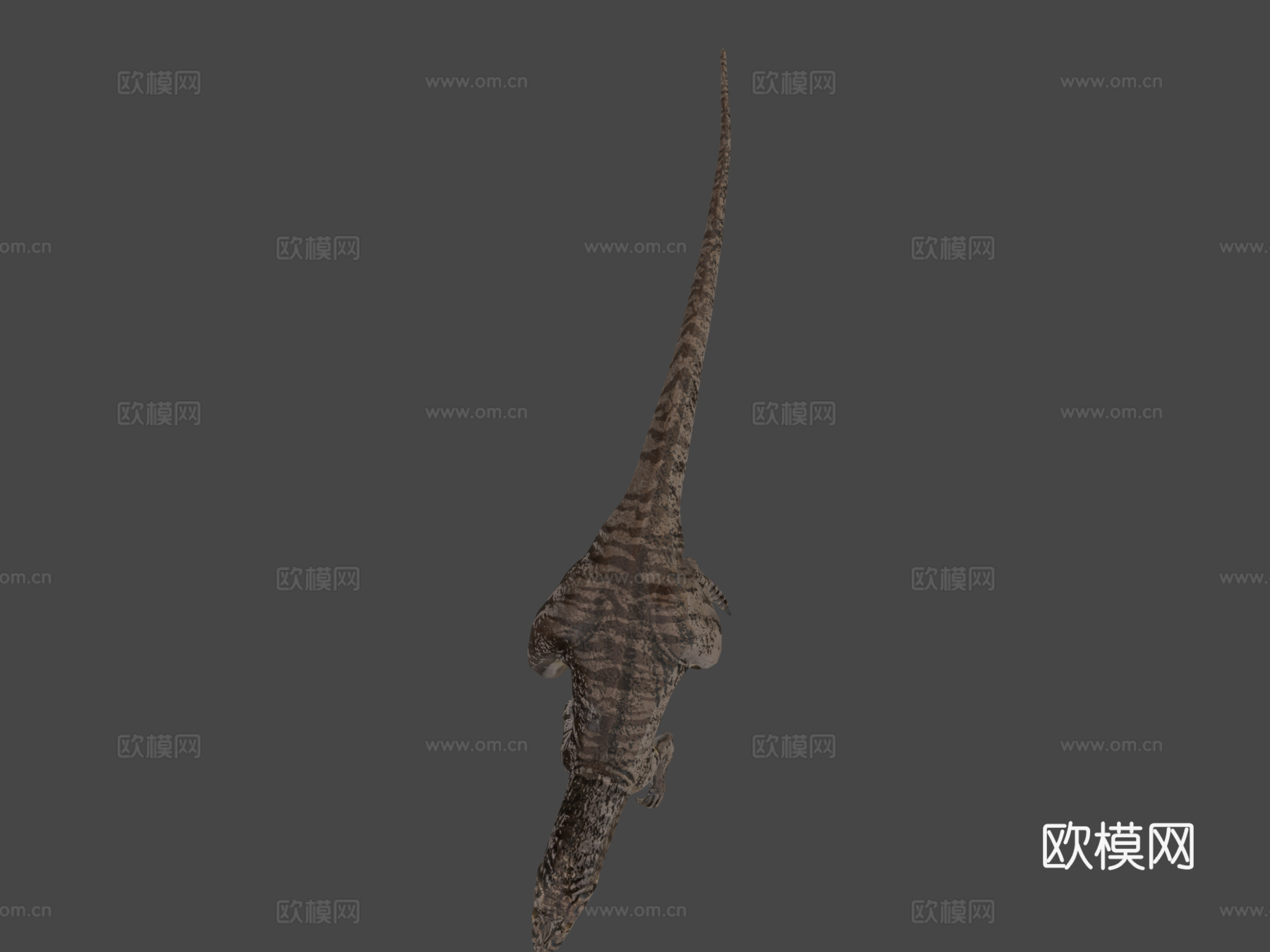 异特龙3d模型