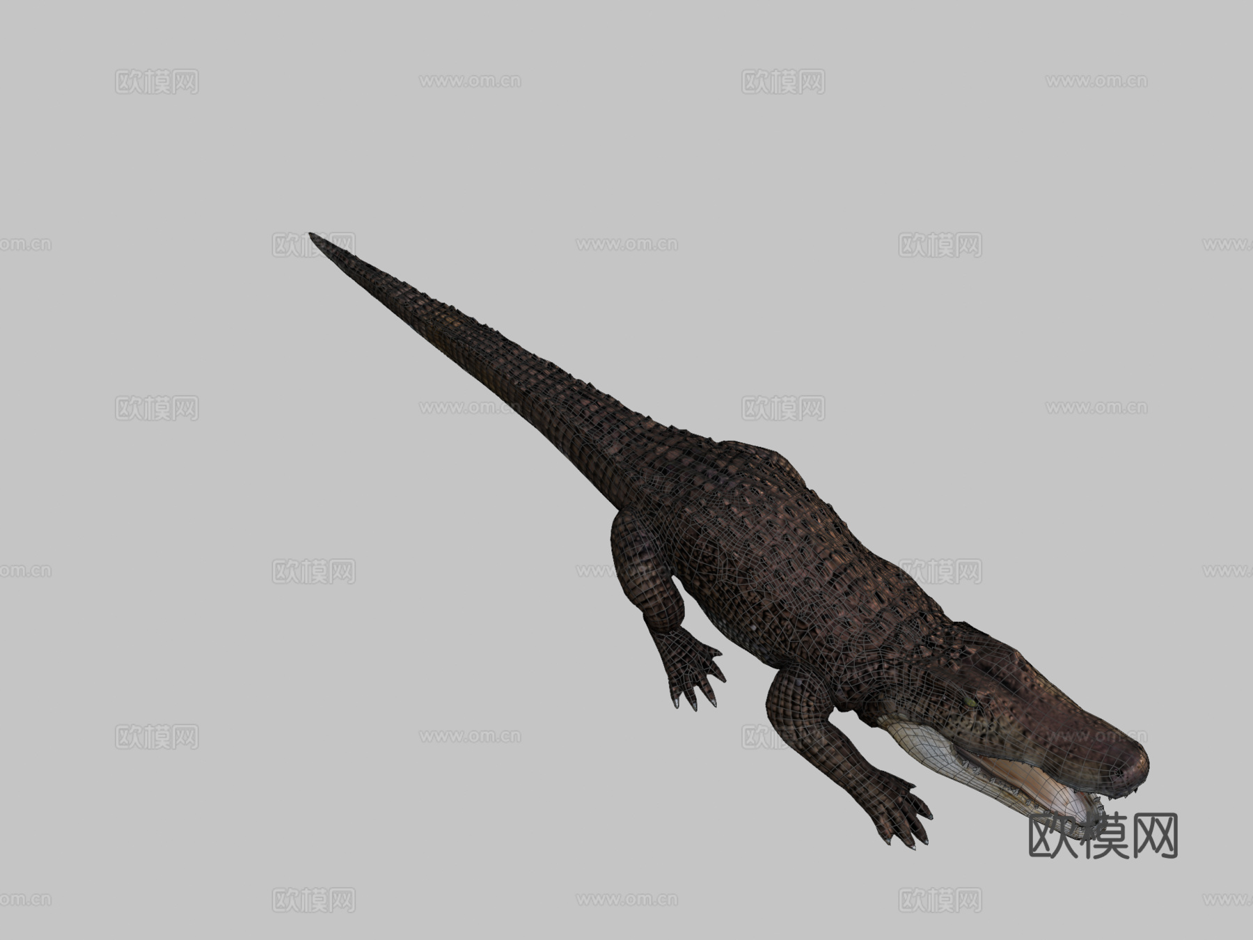 短吻鳄3d模型