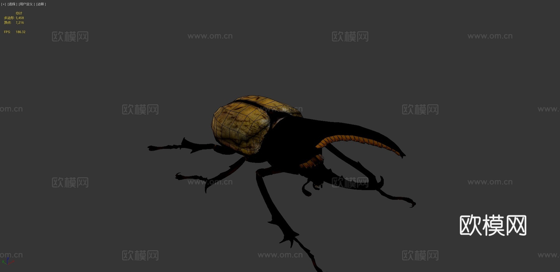 赫拉克勒斯大兜虫3d模型