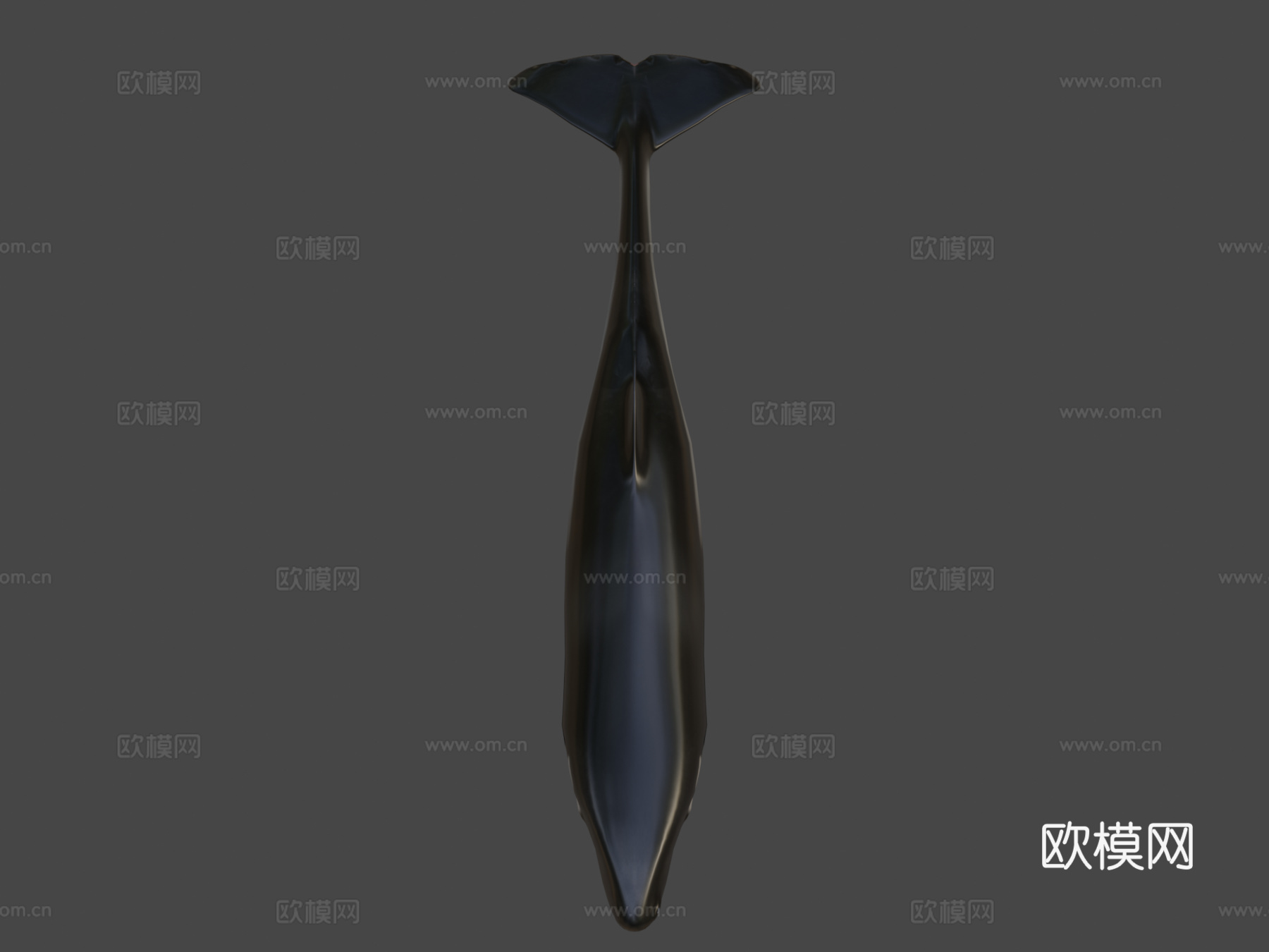 利维坦鲸3d模型